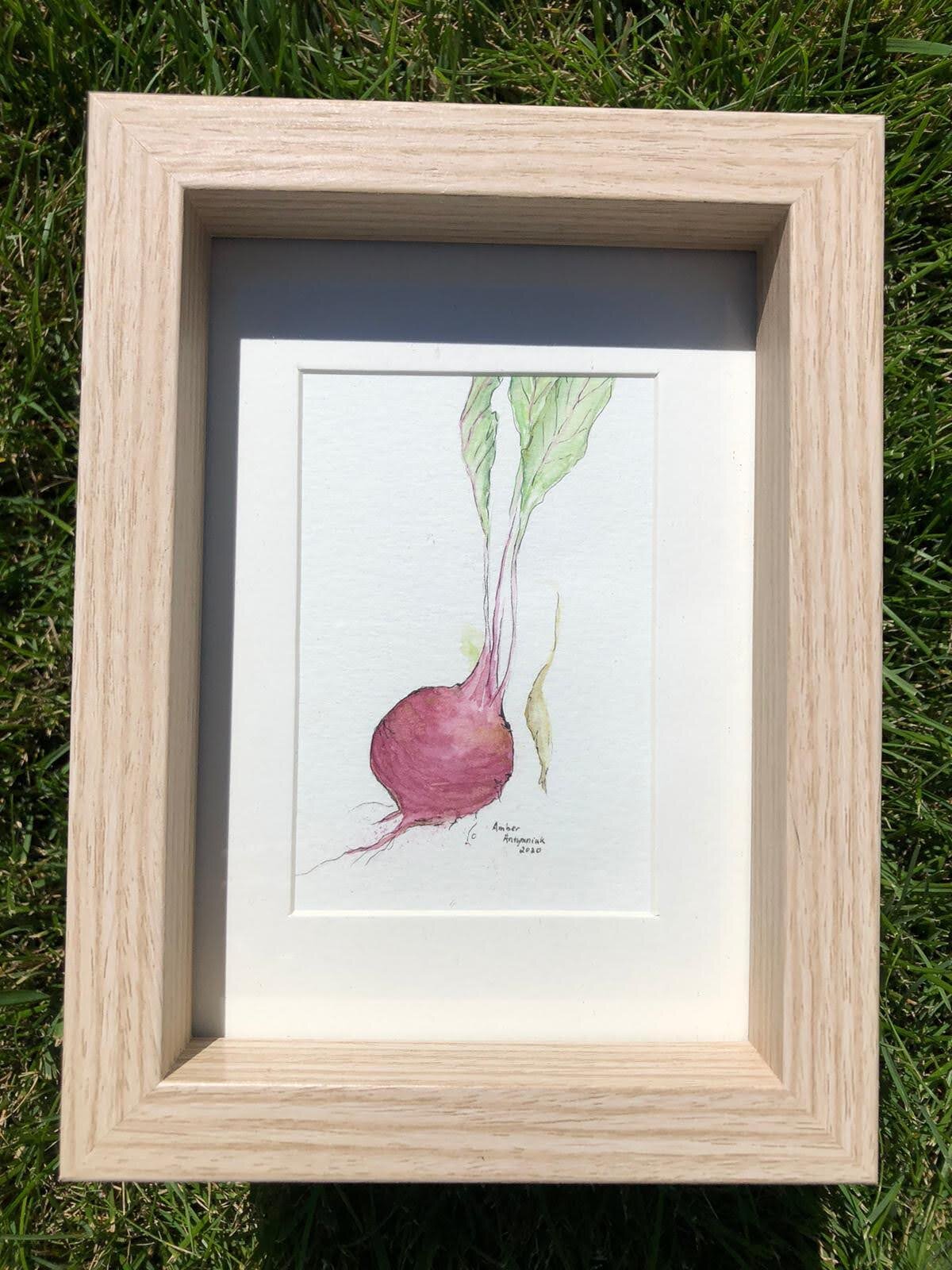 Garden Beet | S O L D |