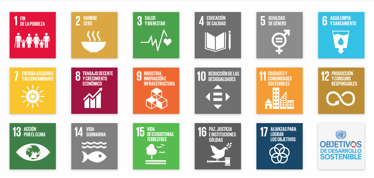 objetivos sust.png
