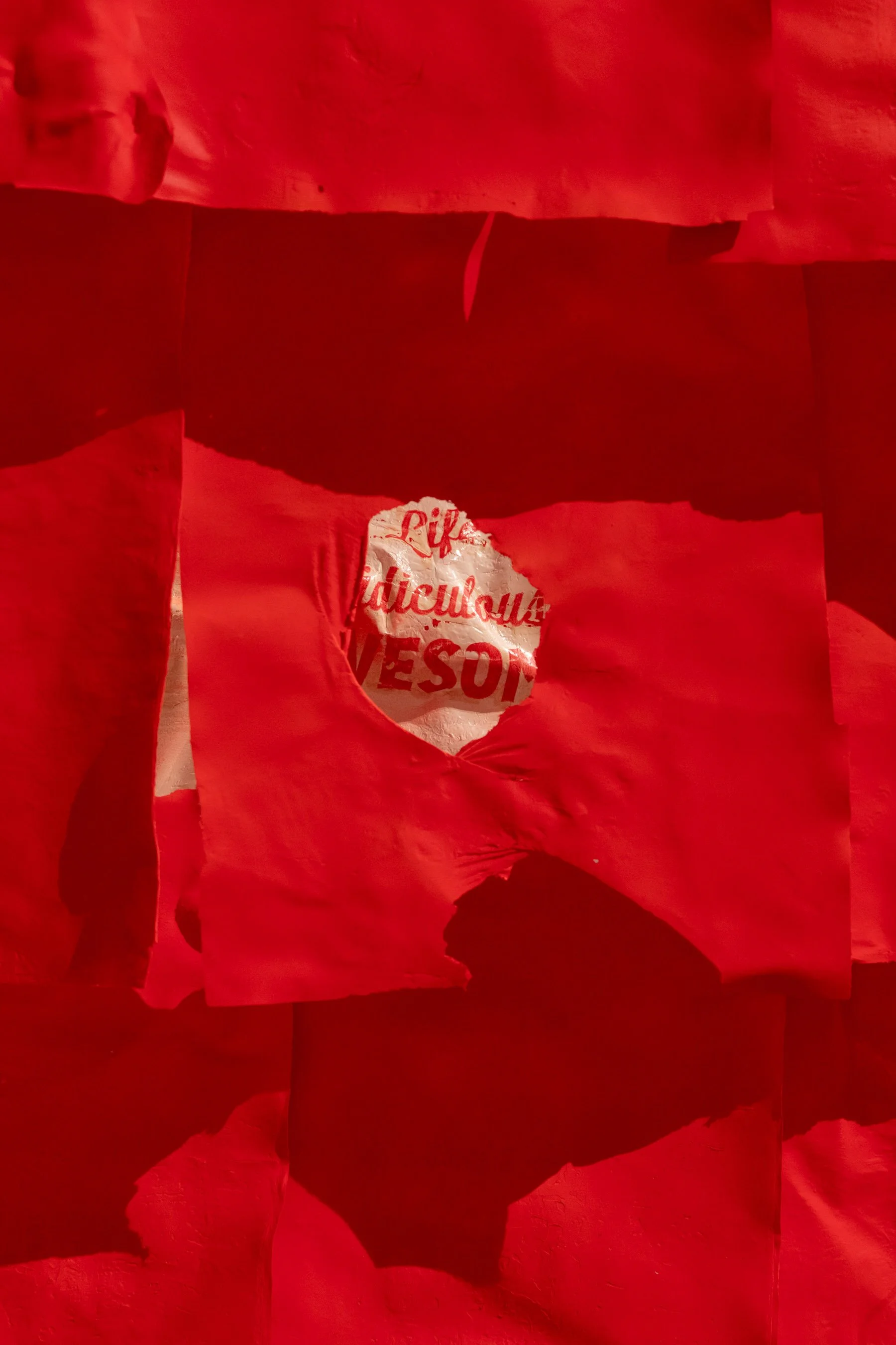 Copy of homesick_krystal_ramirez_2021_3.JPG