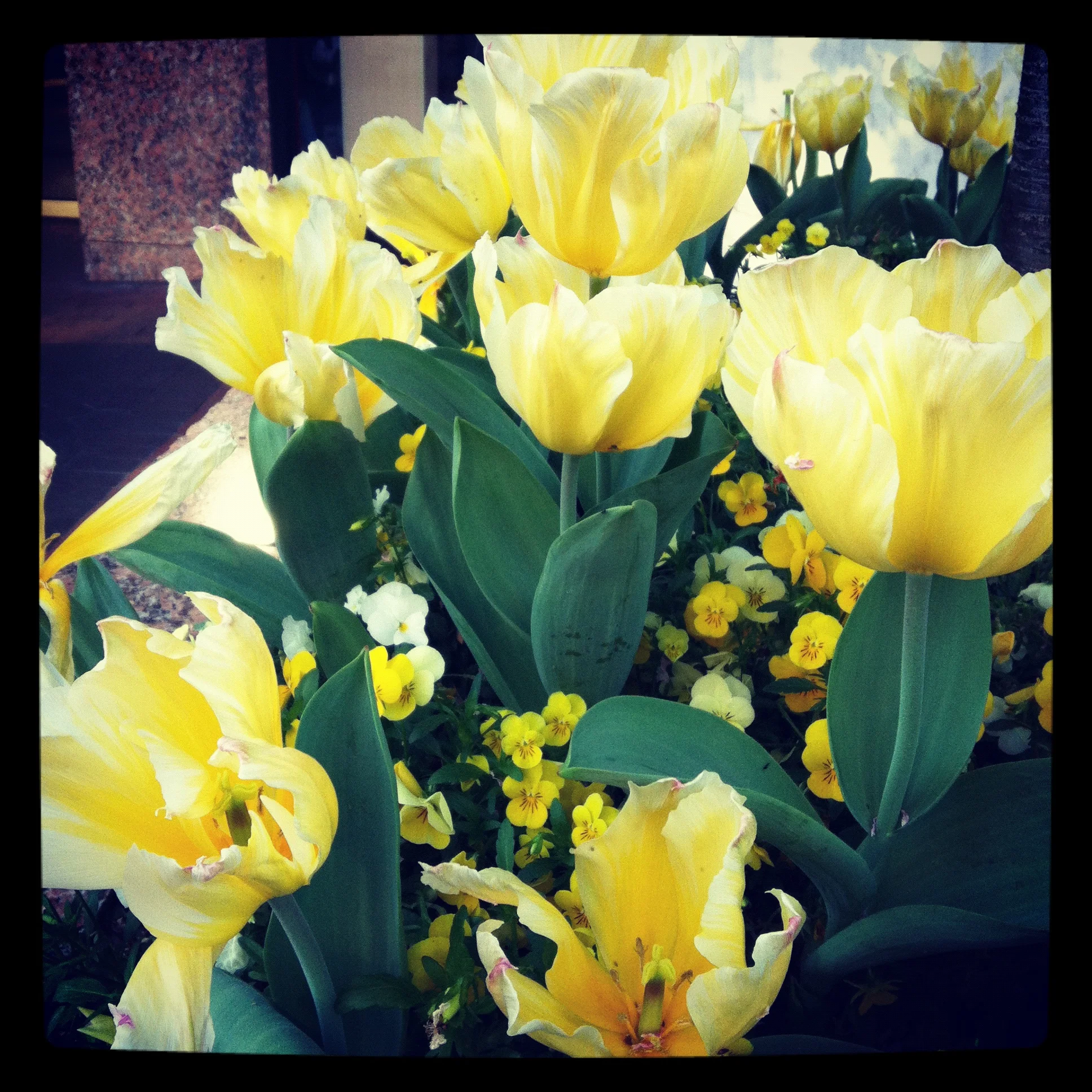 3-25-12_Springtime_1.jpg
