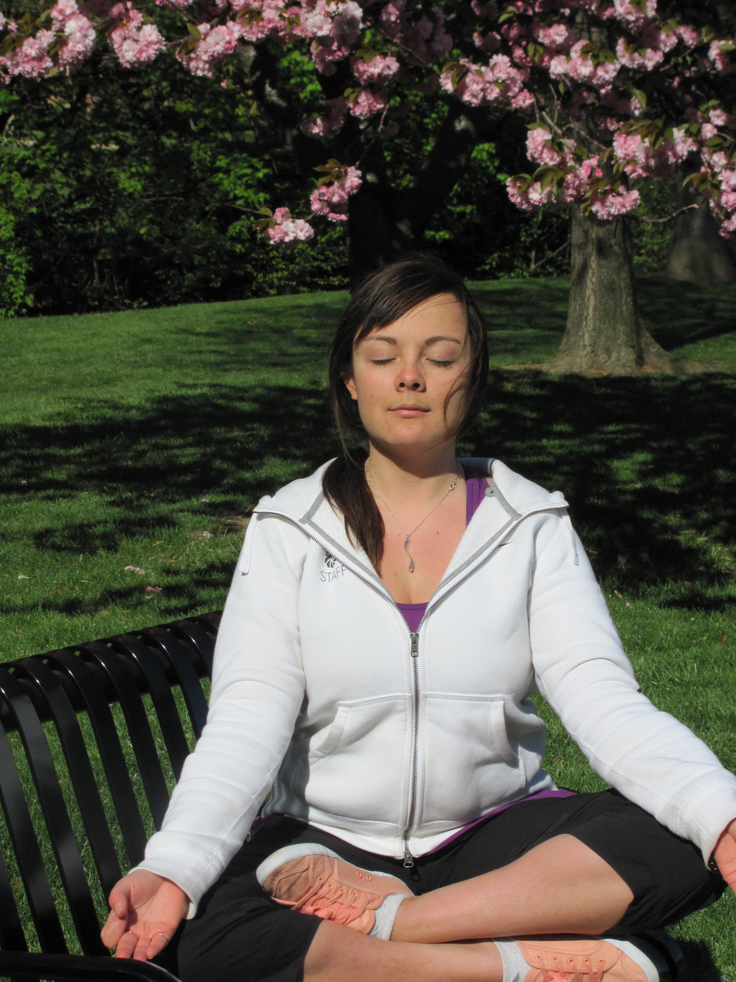 Thais meditating under the cherry blossom
