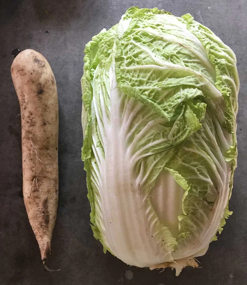 DLN_Kimchi-Recipe-2.jpg