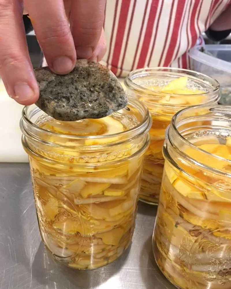 DLN_Fermented-Delicata_10.jpg