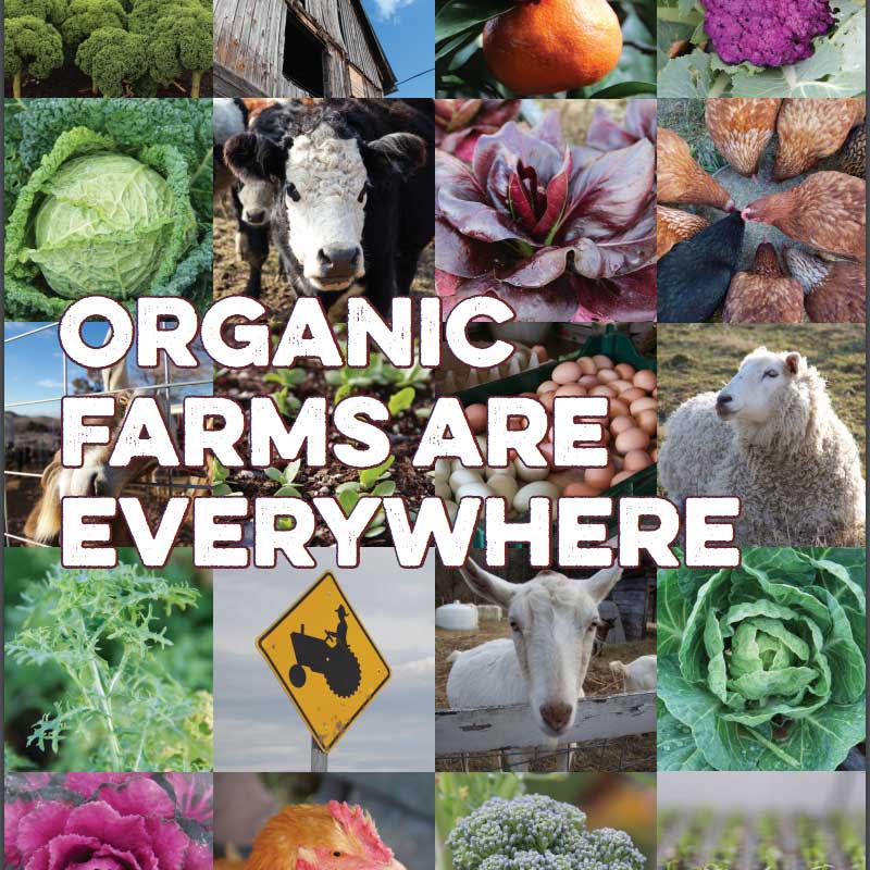 Organic Farms are Everywhere DVD — Delicious Living Nutrition