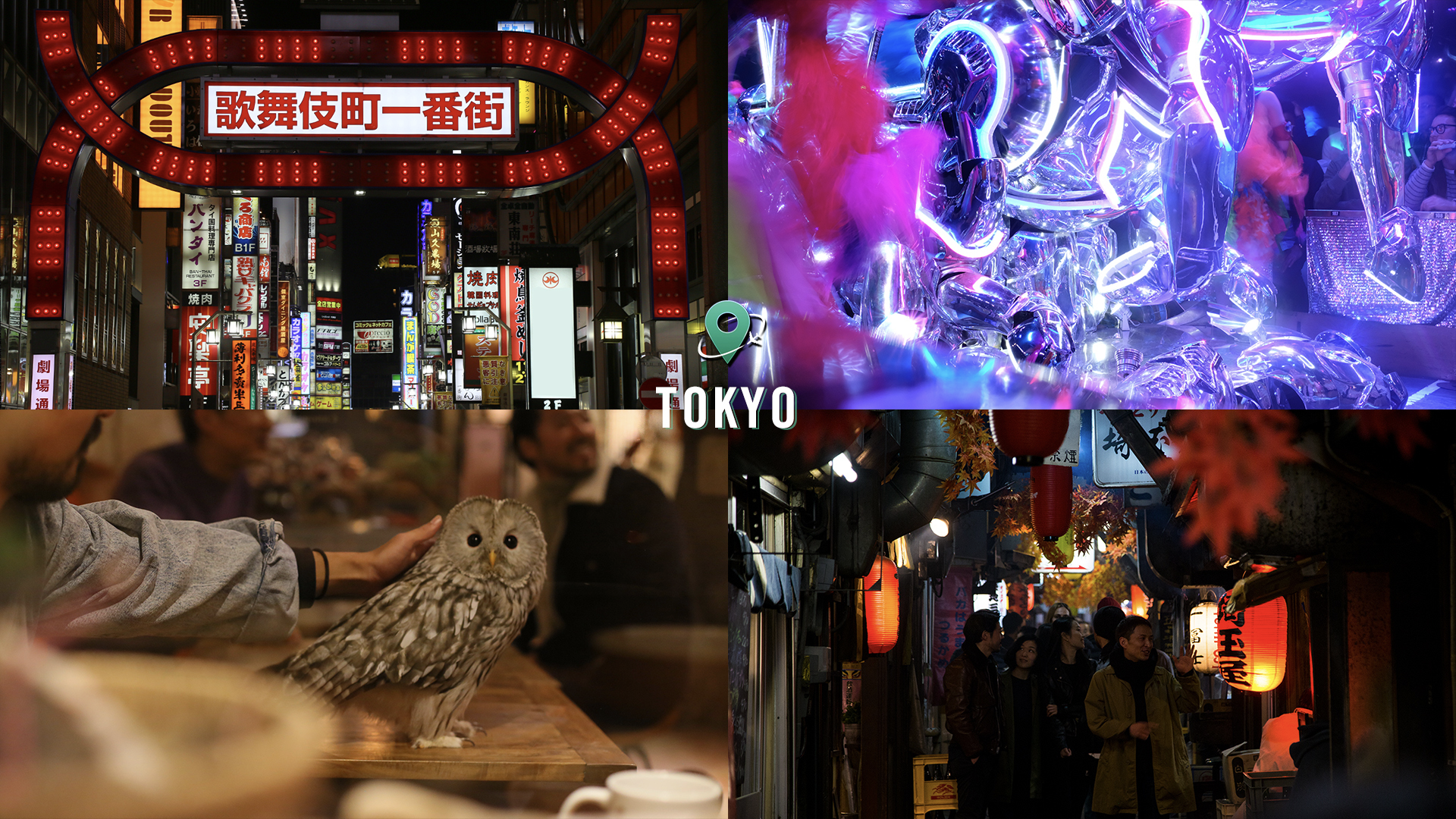 CM-Portfolio.010.png