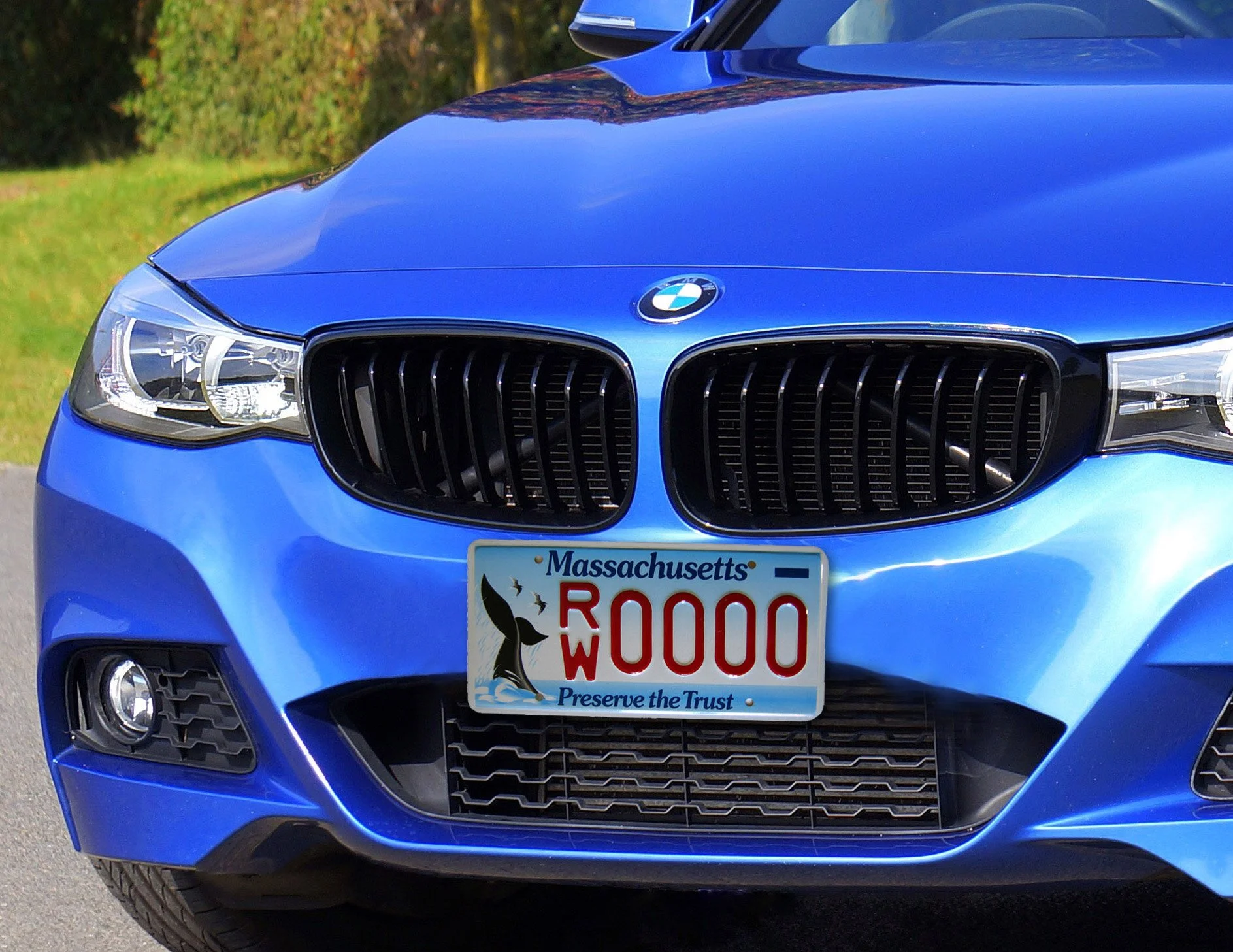 Design for Right Whale plate of MA