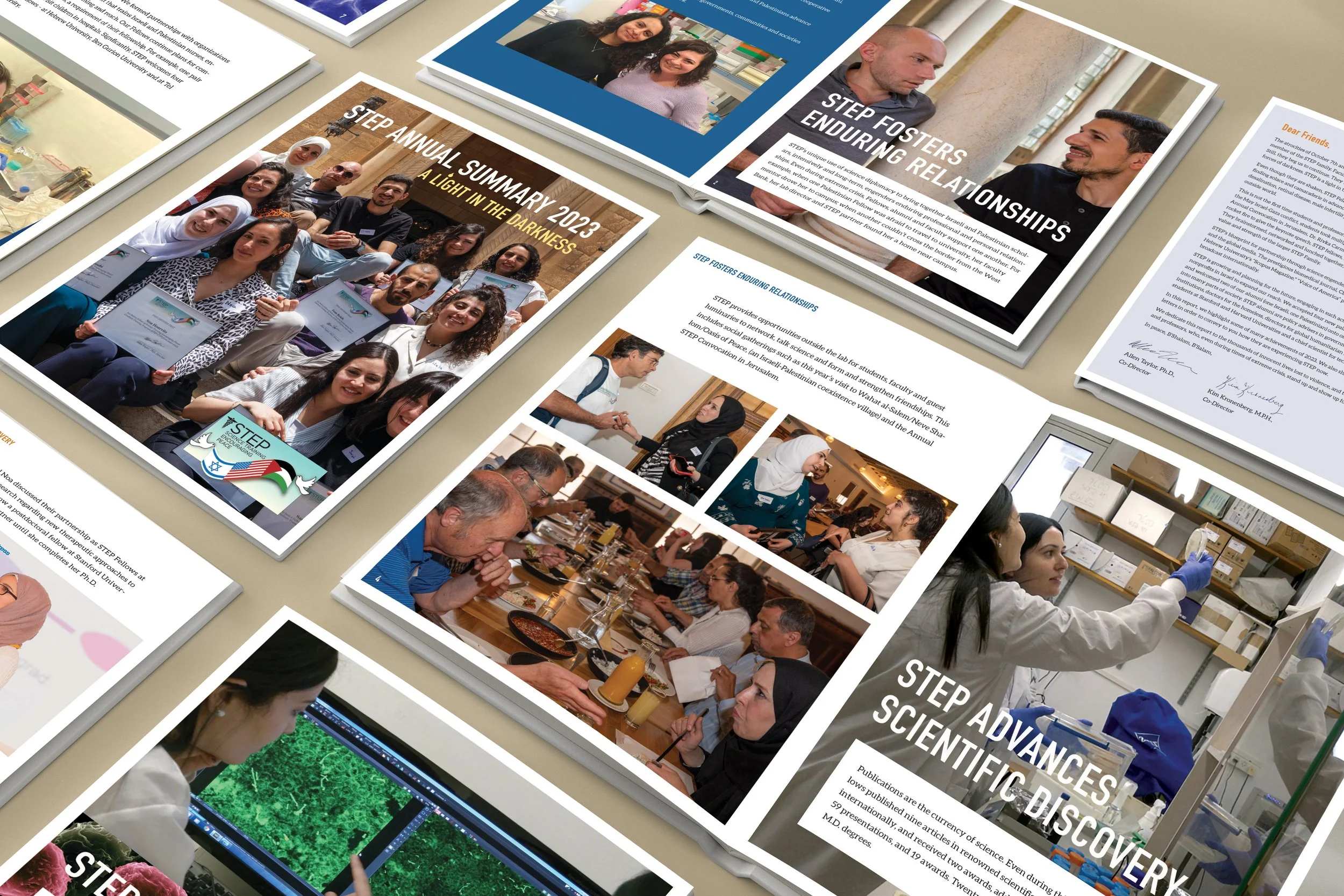 Multi-page brochure for STEP non-profit