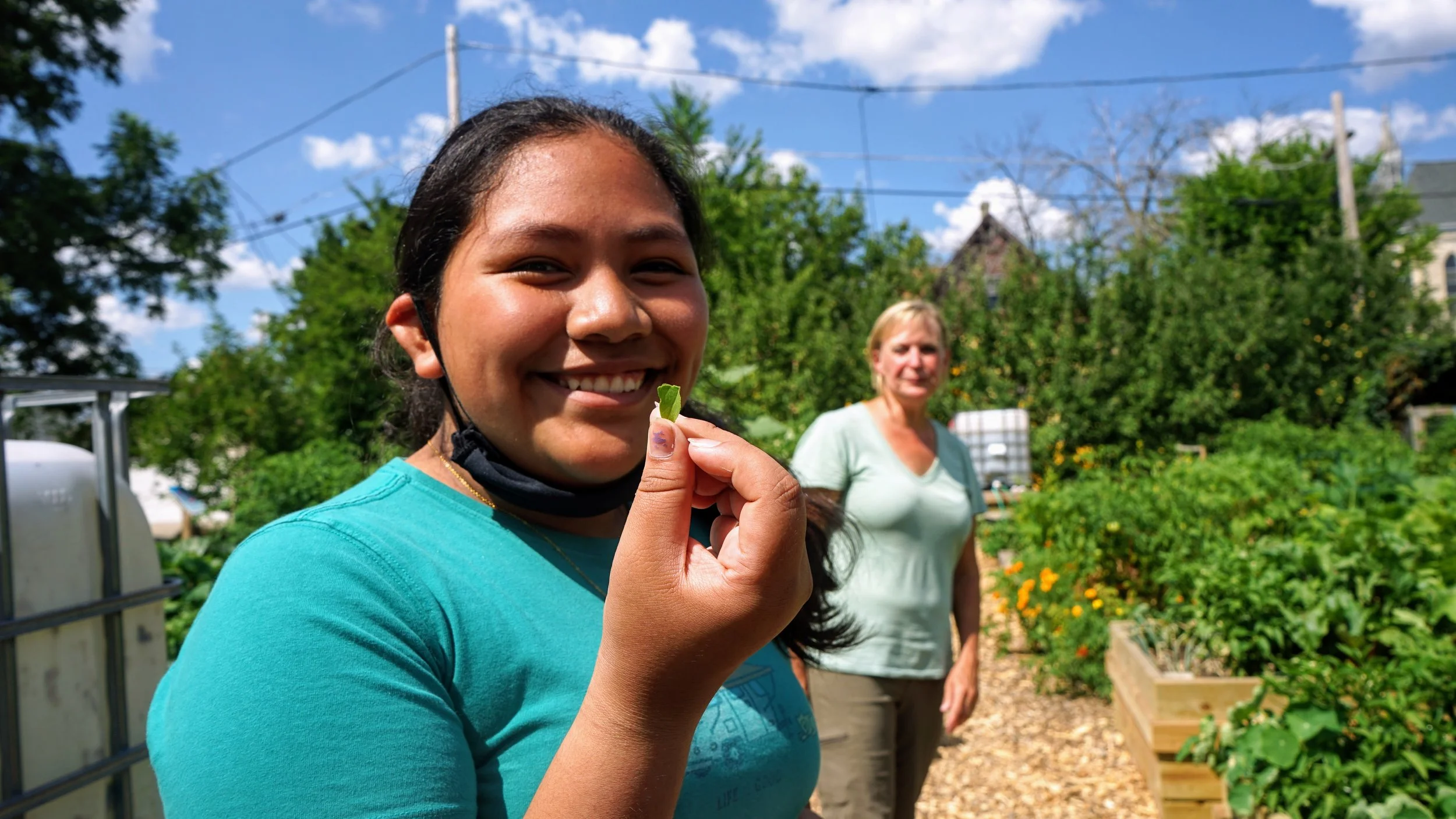 Sweet Cherry Street Beats - Midtown's Secret Garden