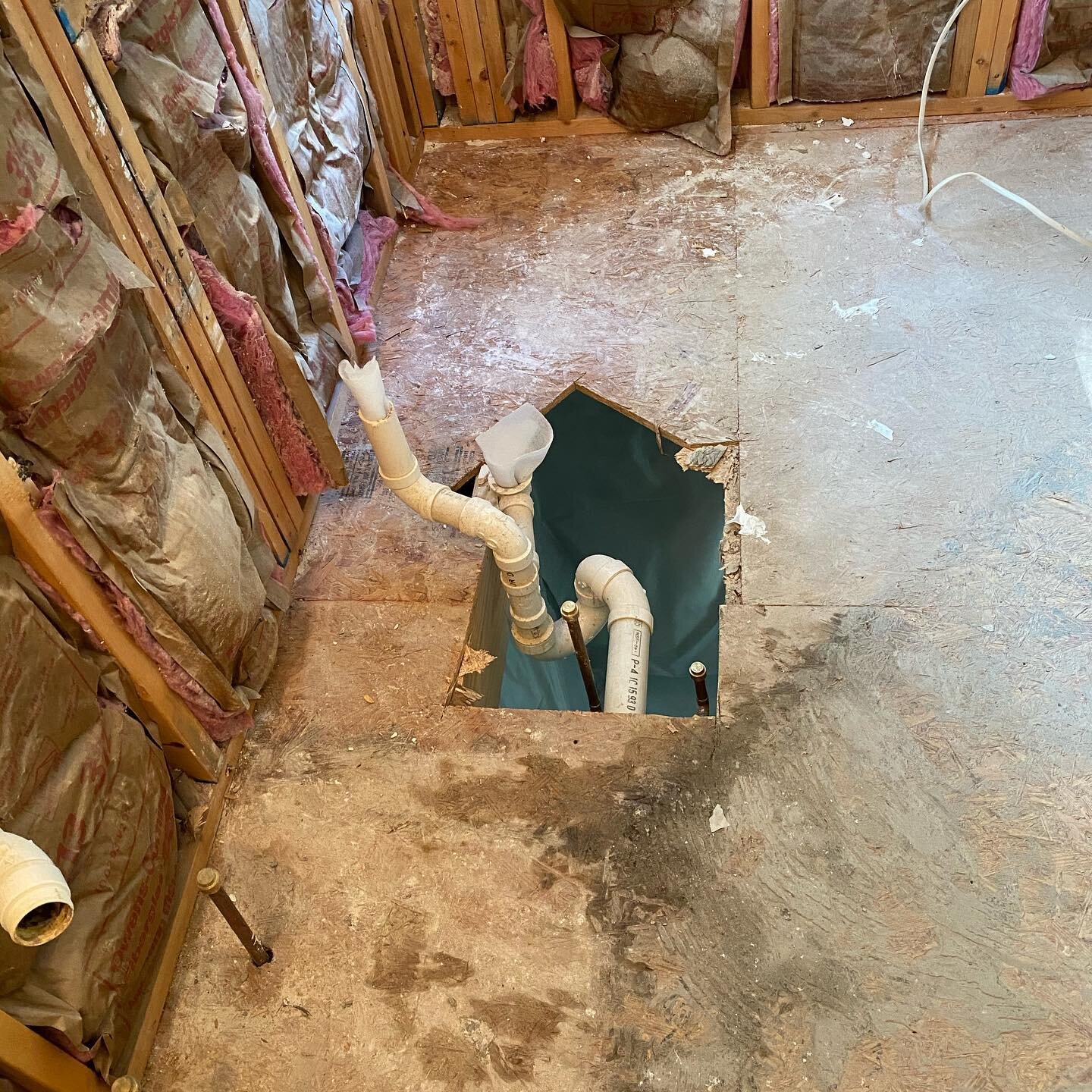Thanks to all that weighed in on our bathroom redo. We went with the majority vote and chose the light cabinet option. Today was Demo Day and it was not pretty.