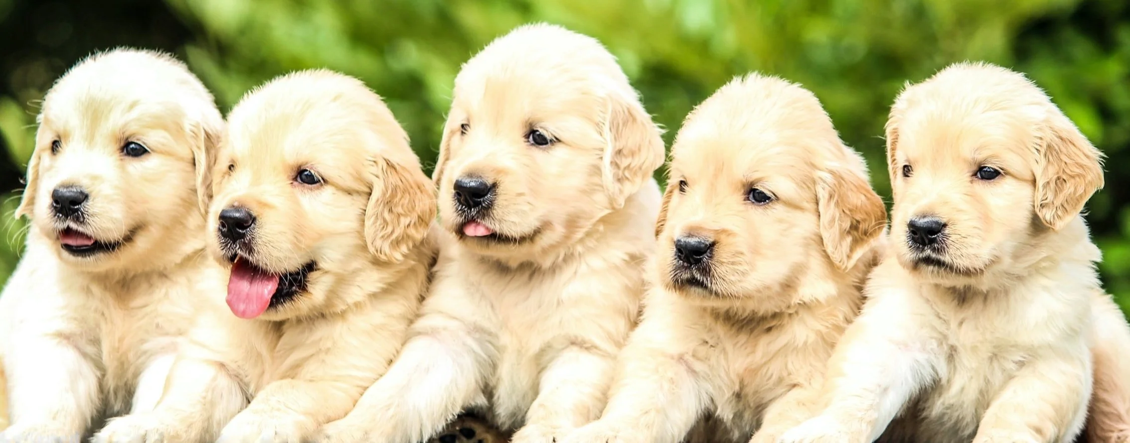 A.A. Daily Reflection • October 20