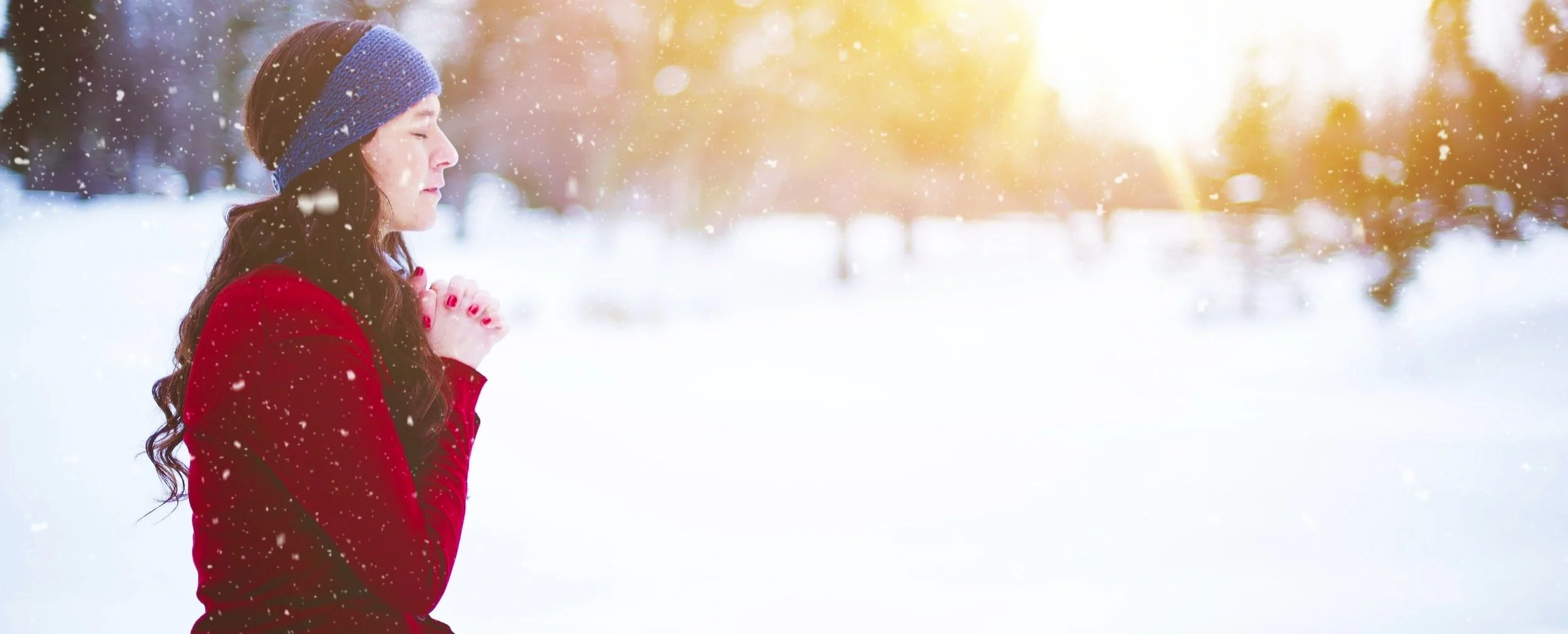 A.A. Daily Reflection • November 15