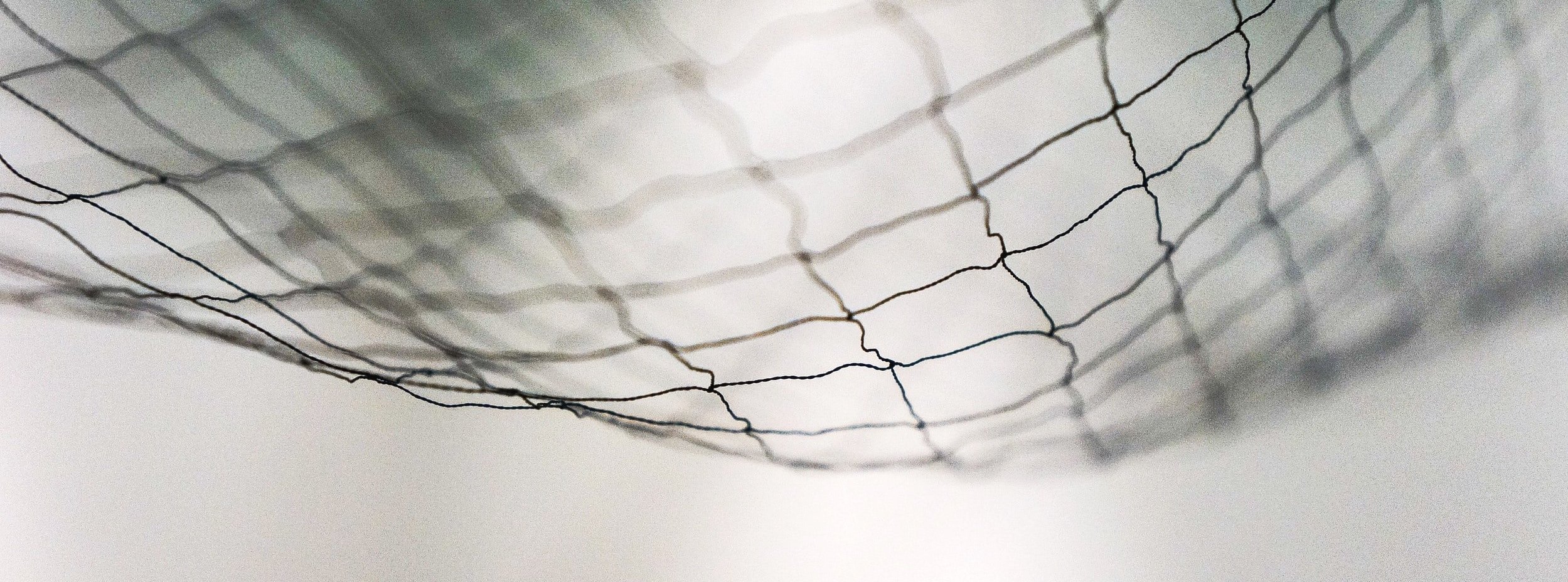 A.A. Daily Reflection • November 18