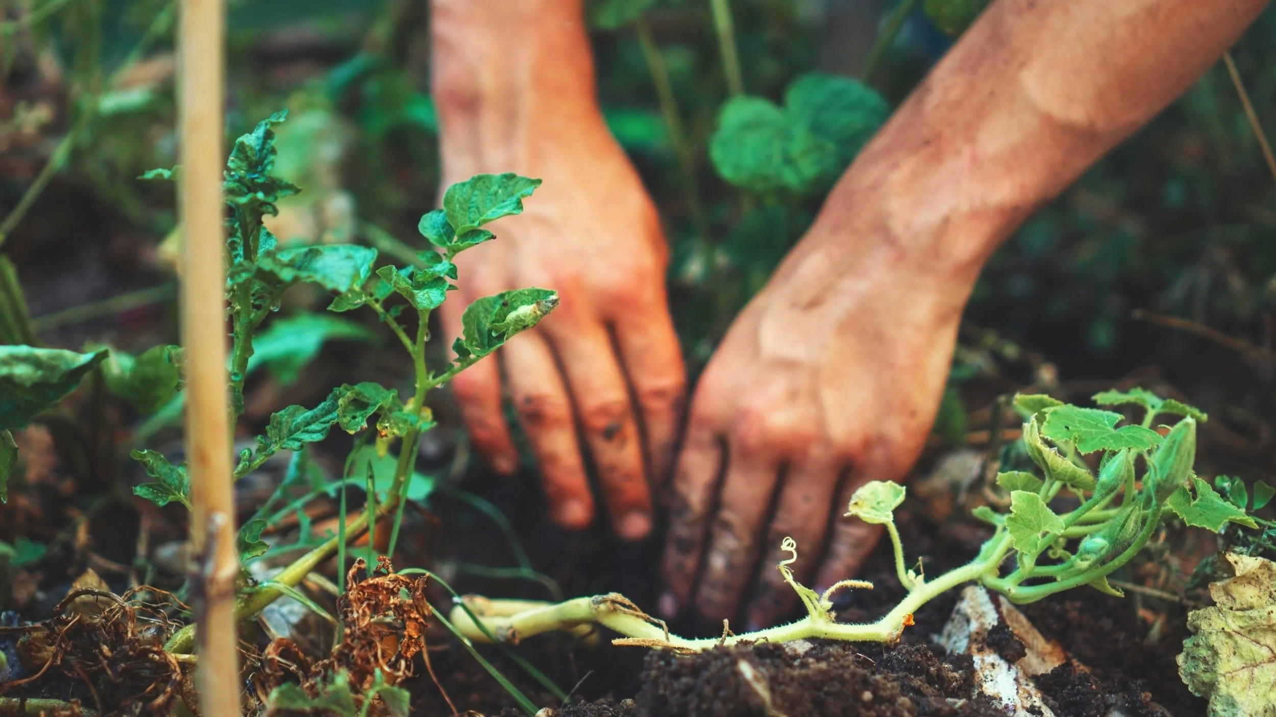 A.A. Daily Reflection • March 29