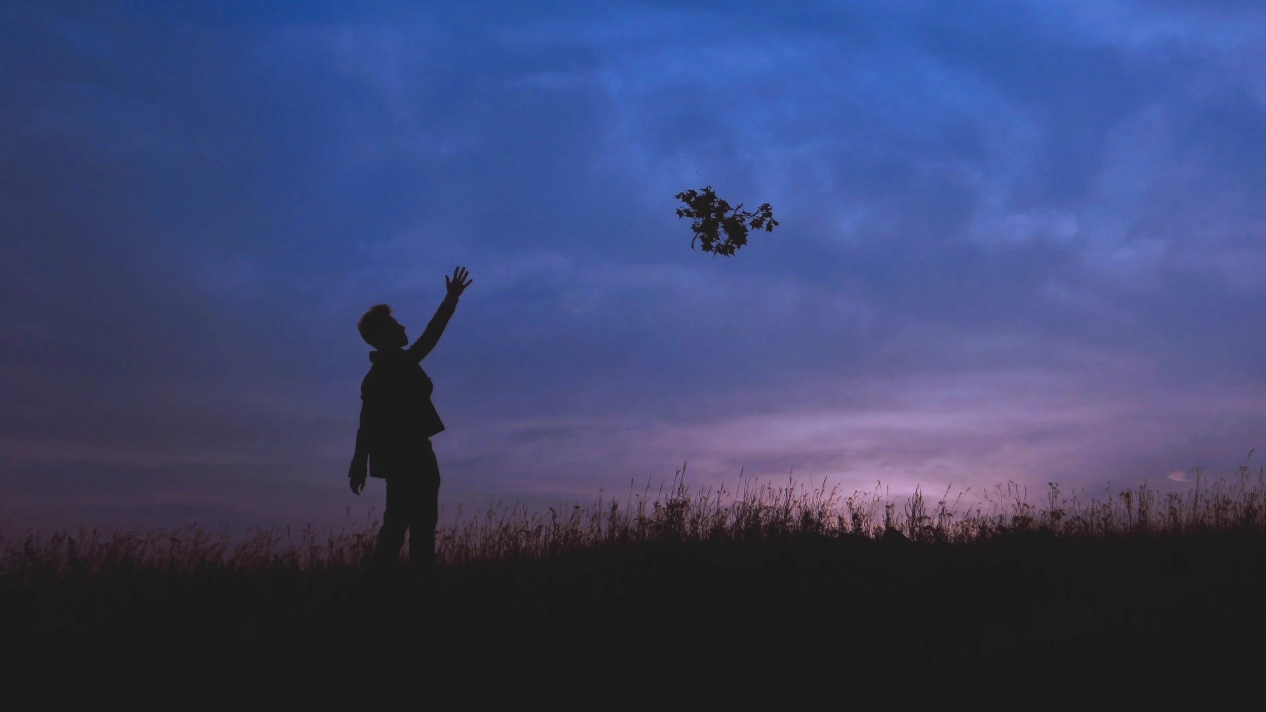 A.A. Daily Reflection | June 4