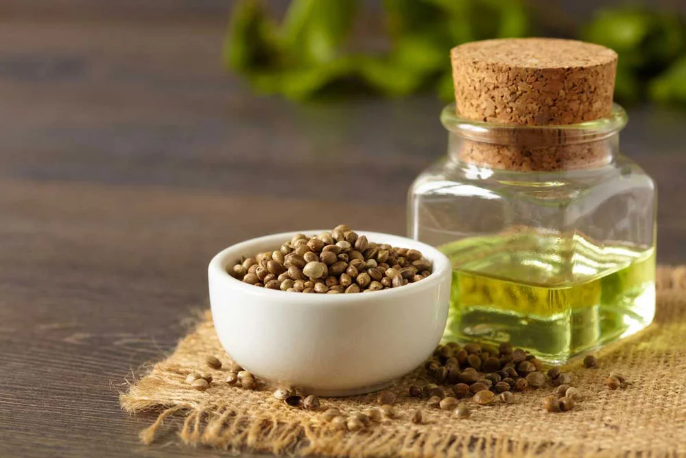 Cannabidiol (CBD) is one of many compounds derived from the cannabis plant. It’s rapidly growing in popularity CBD is finding its way into a variety of products because it has so many applications and health benefits. Learn the difference between hemp oil and CBD! In-Depth CBD Guide