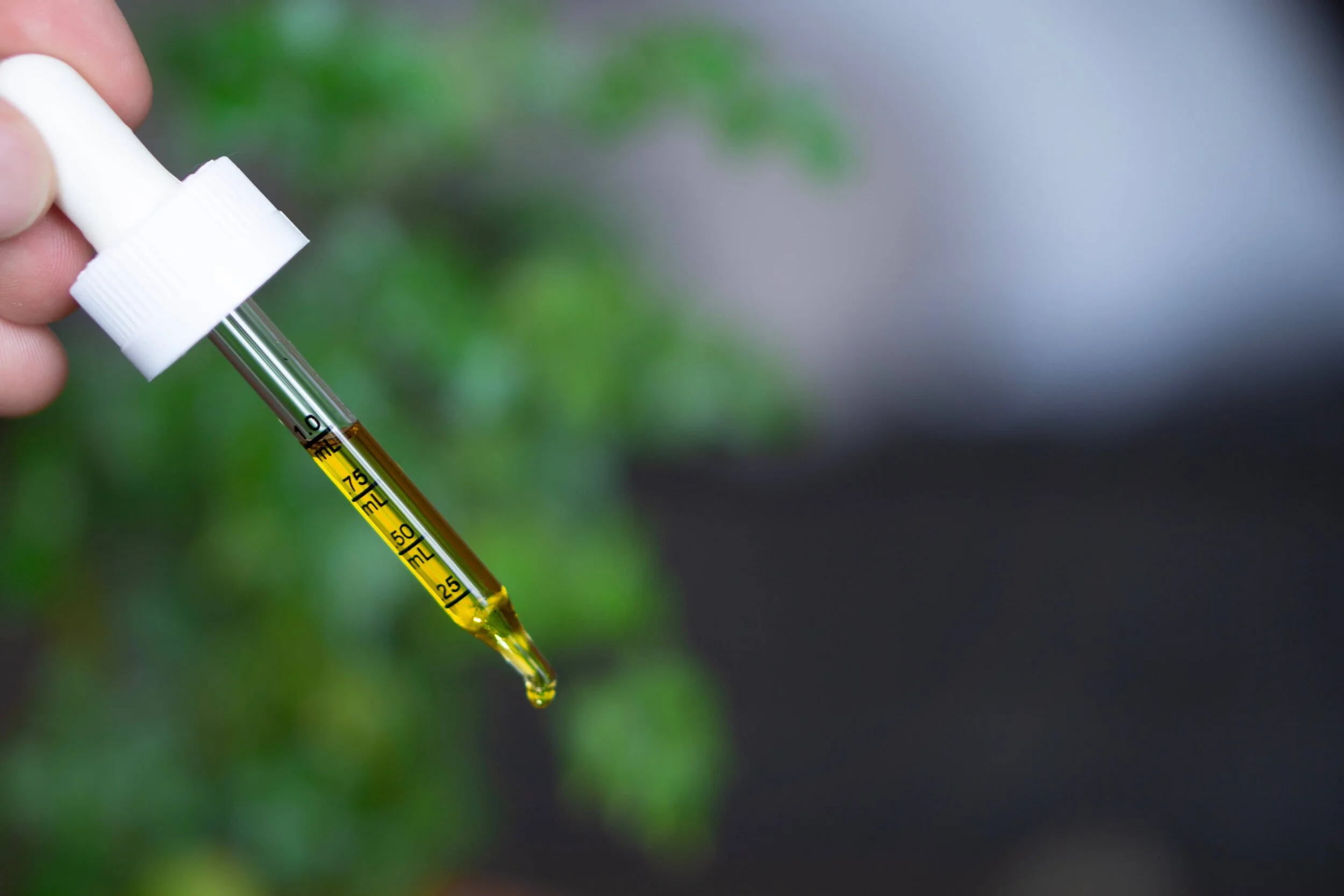 Discover the Benefits of CBD with Sequoia Organics | Premium CBD Products