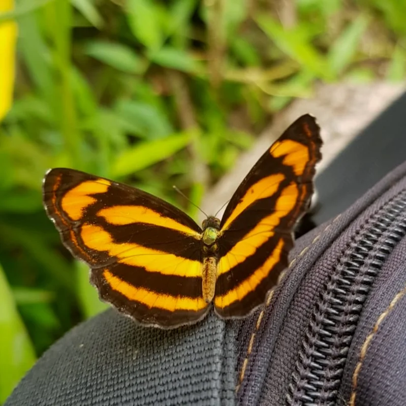 “It’s not just our mindset that can be hindering, it’s also the energy you are around” (the power of positive affirmations)