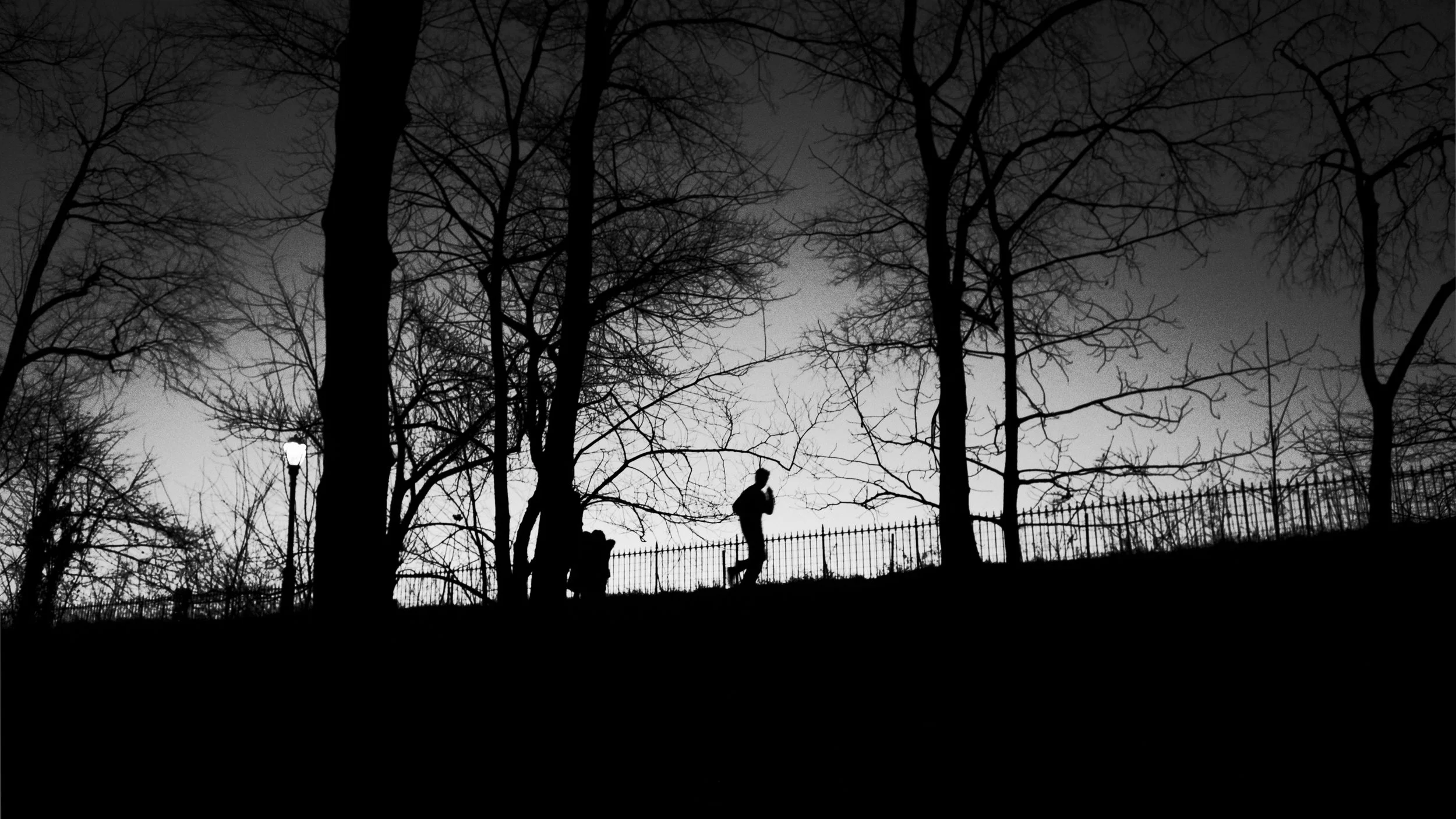 Runner 2 Central Park JPEG.jpg