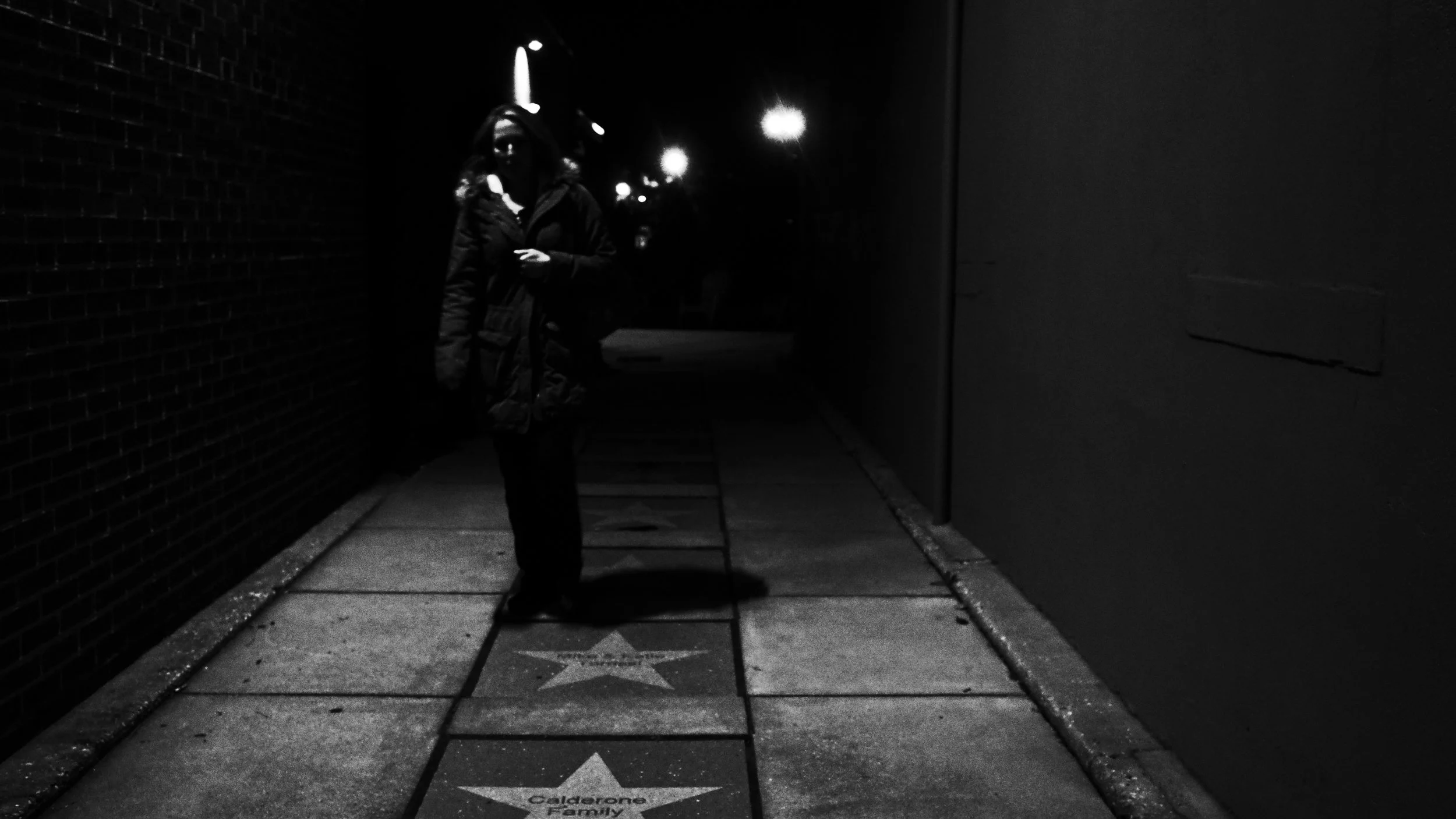 Walking on Stars JPEG.jpg