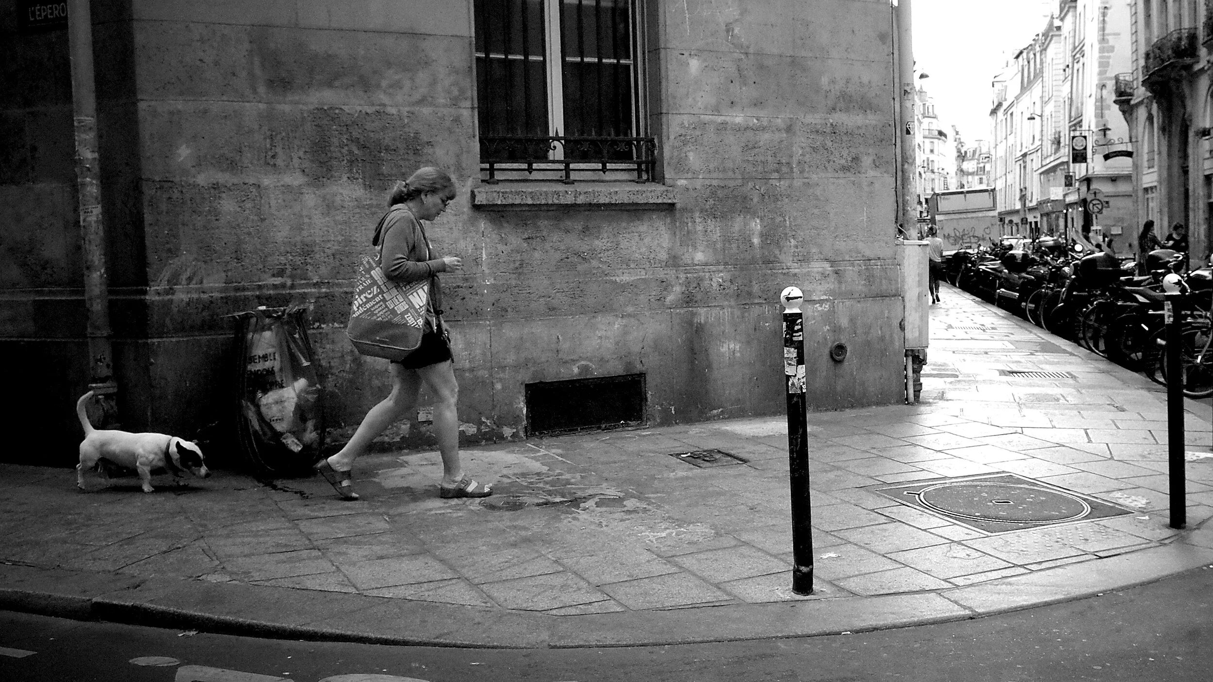 A Lady Walking her Dog 2 JPEG.jpg