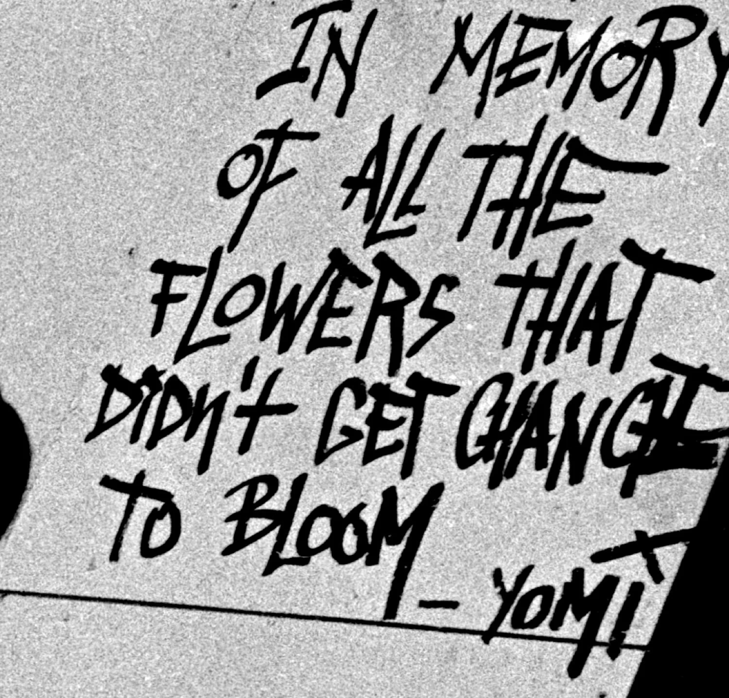 Flowers that Can't Bloom 2bb JPEG 5.jpg