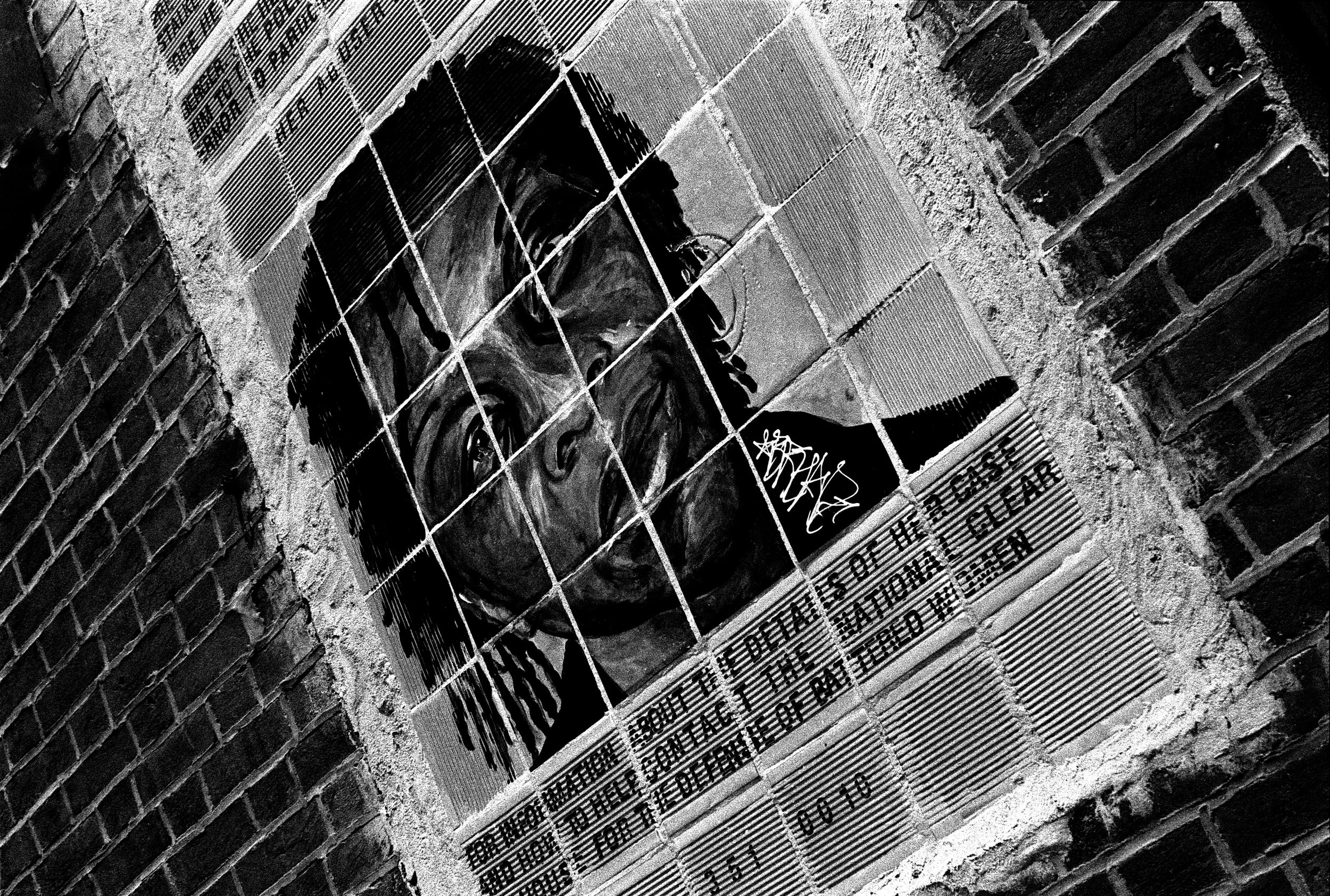 Battered Lady 1 JPEG.jpg