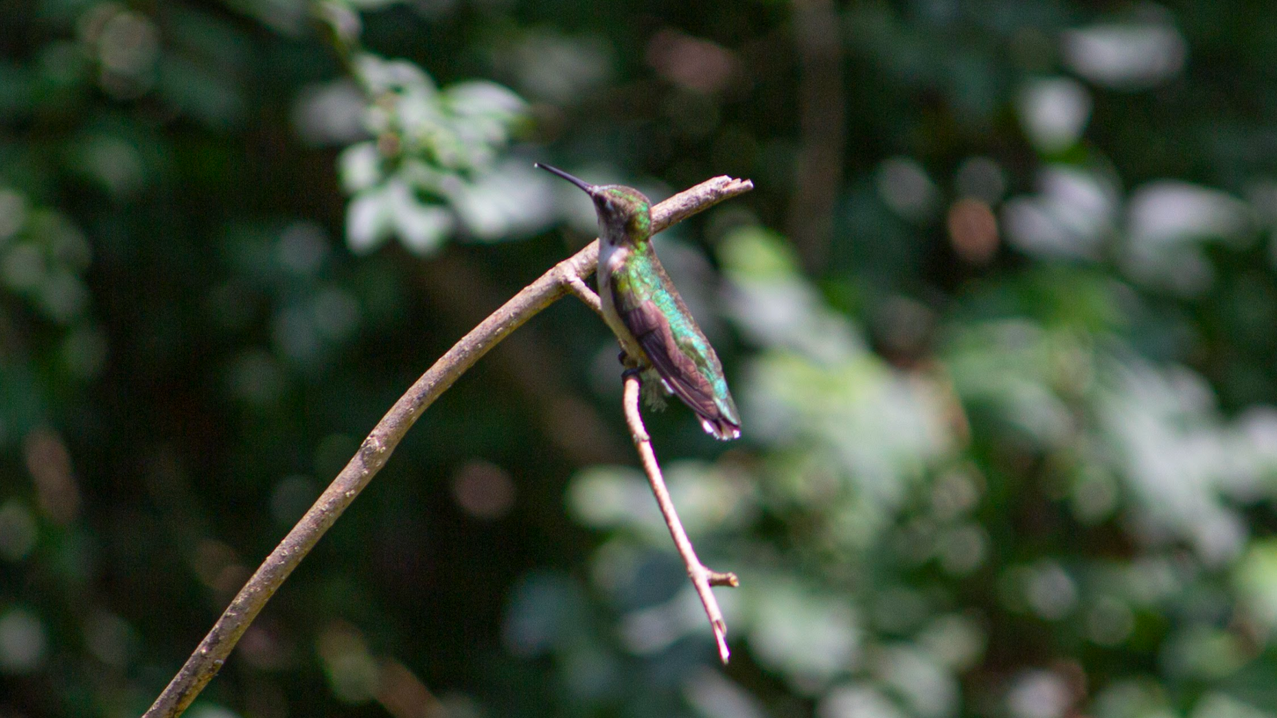 Screenshot 2026-02-27 at 12.20.48 PM.png