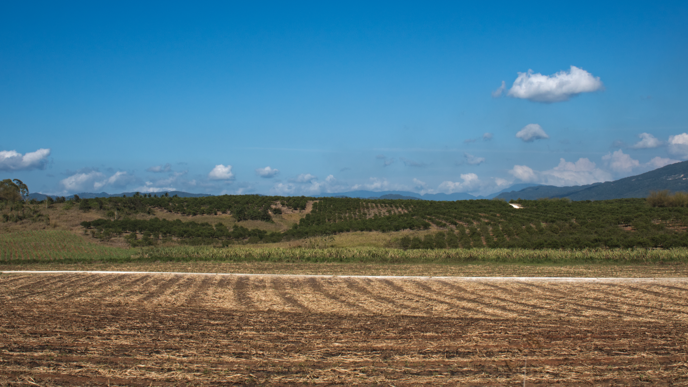 Screenshot 2026-02-13 at 6.06.06 PM.png