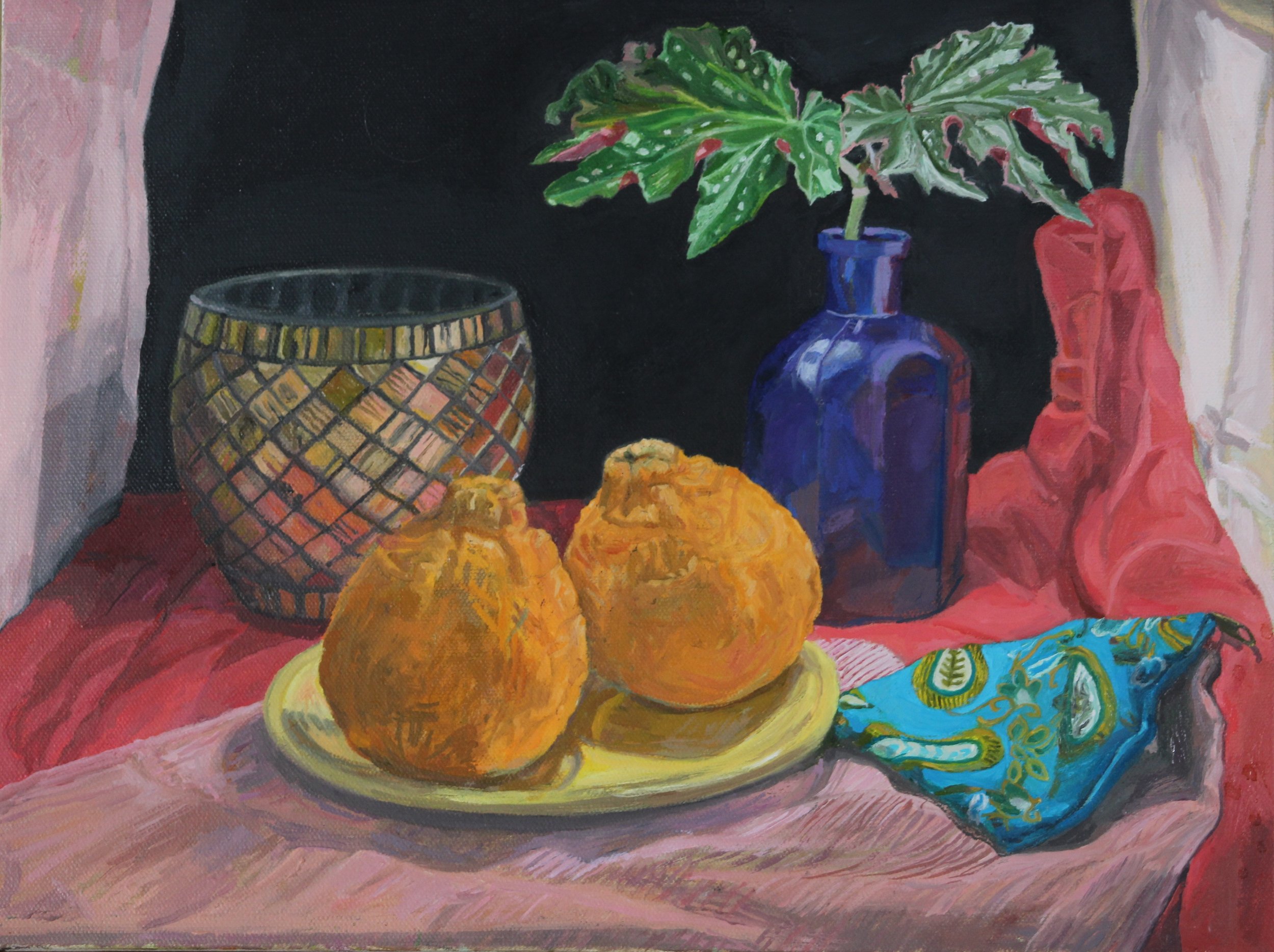 Still Life with Sumo Citrus