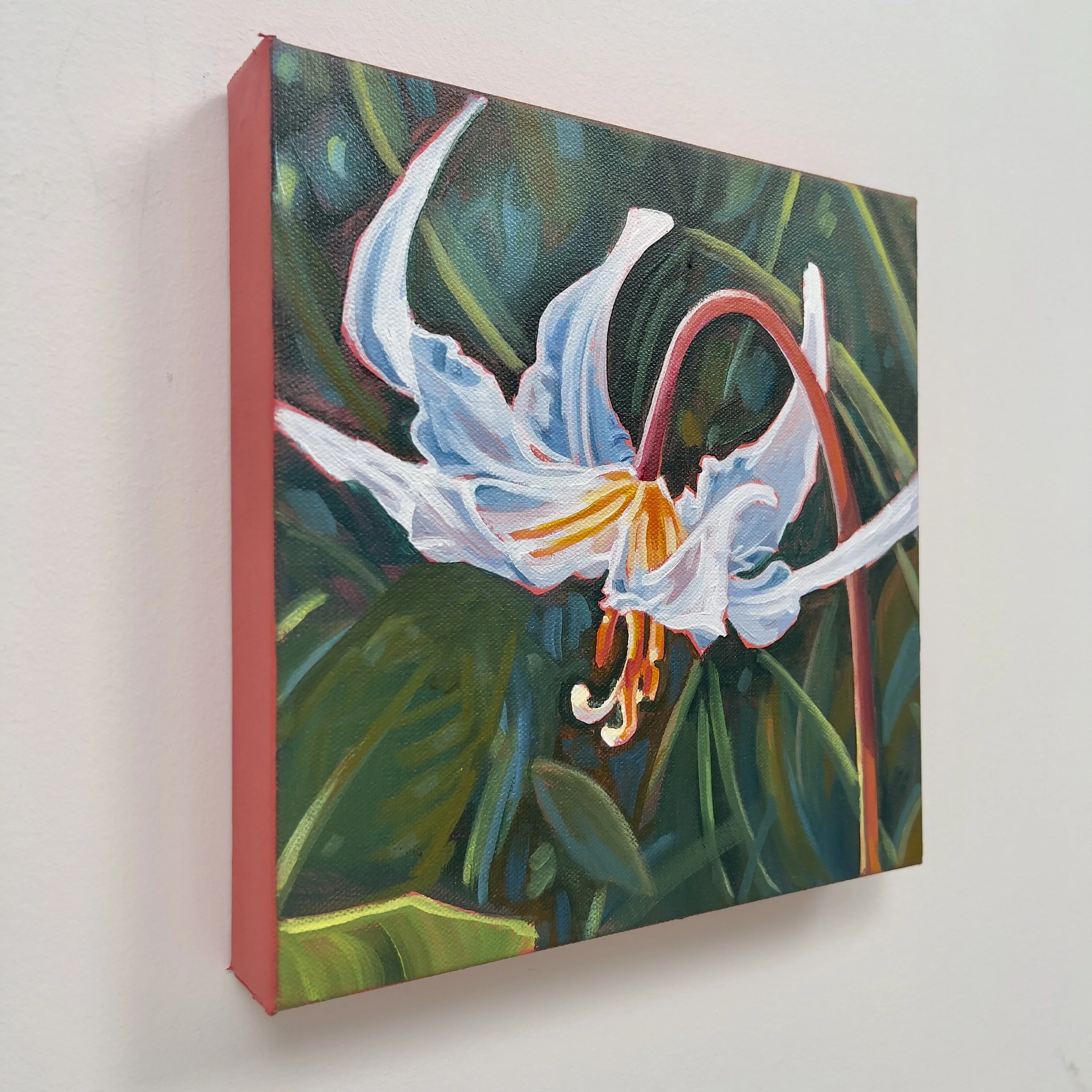 fawn lily 1 angle.jpg