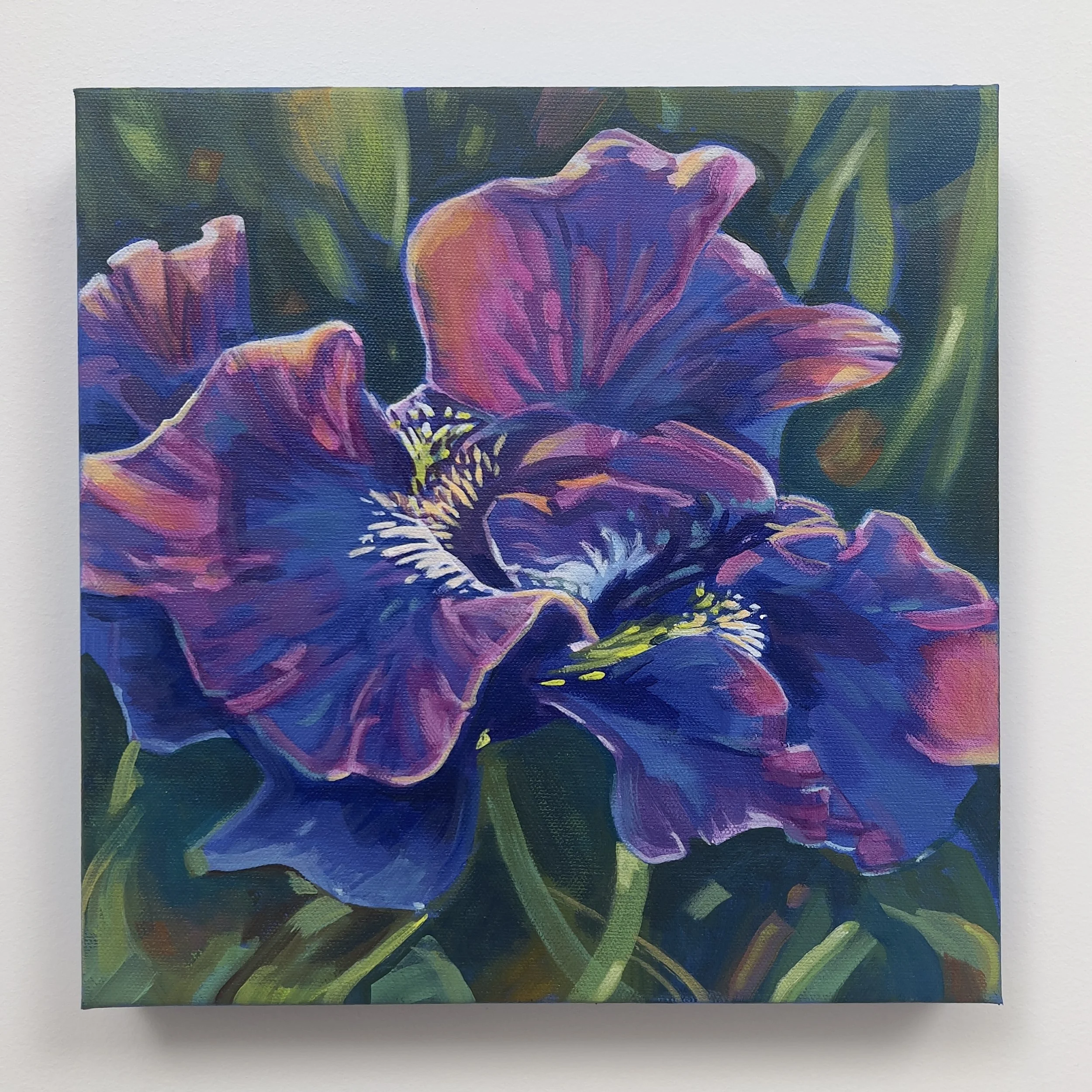 iris 1 full.jpg