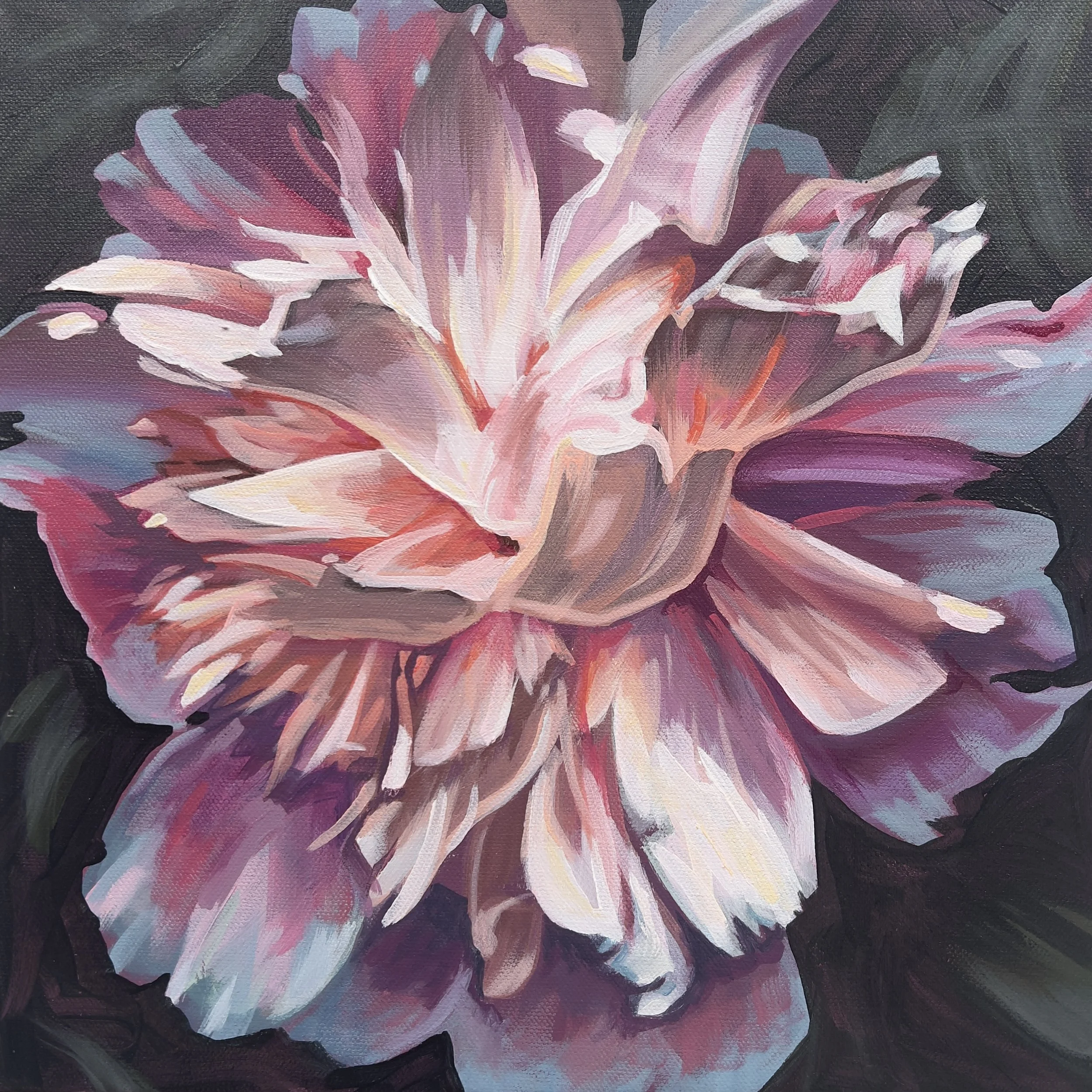 peony 1 close.jpg