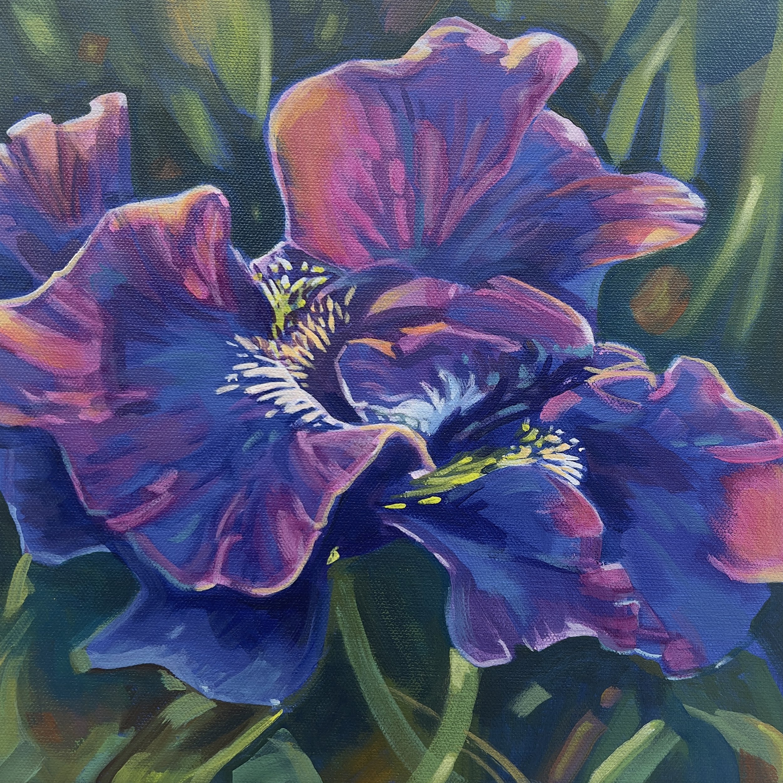 iris close.jpg