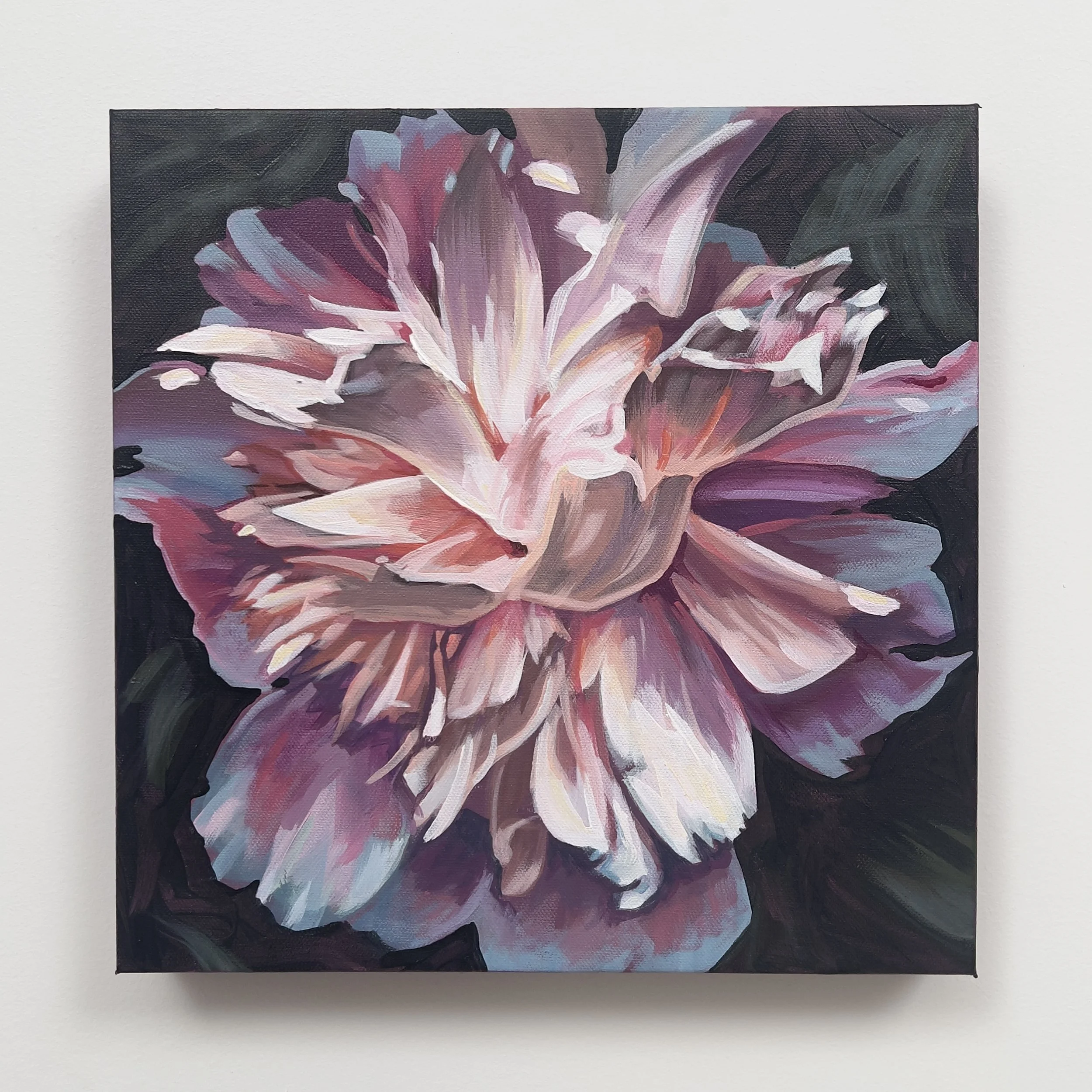 peony 1 full.jpg