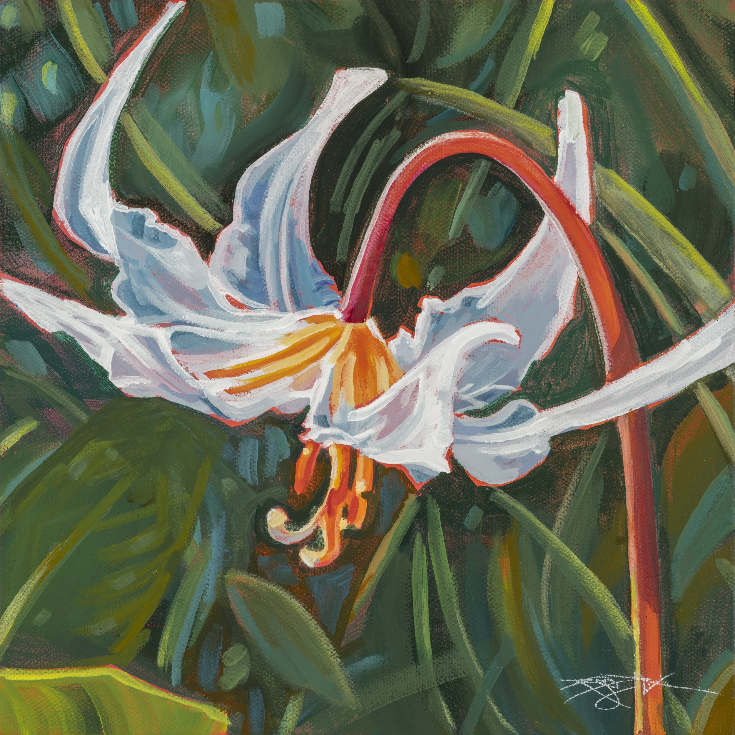 Fawn Lily 12x12-sharp.jpg