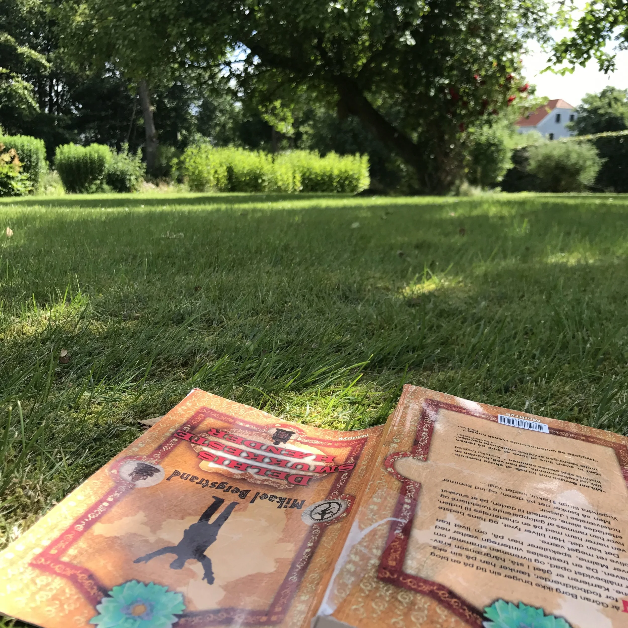 DEN MEST GENERELLE BOGANBEFALING DU VIL LÆSE I DAG