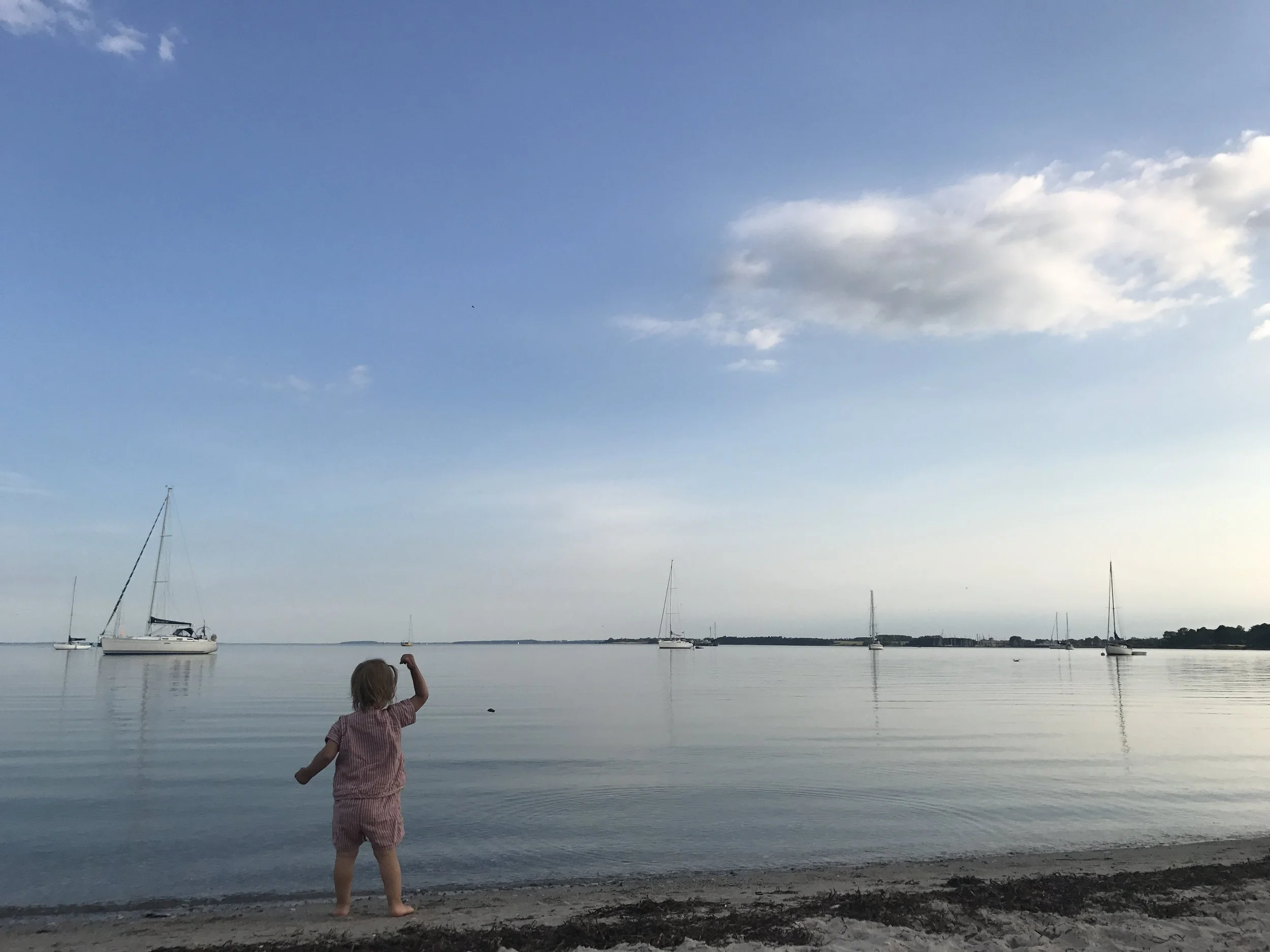 TING JEG HAR OPLEVET I MIN FERIE - INDTIL NU