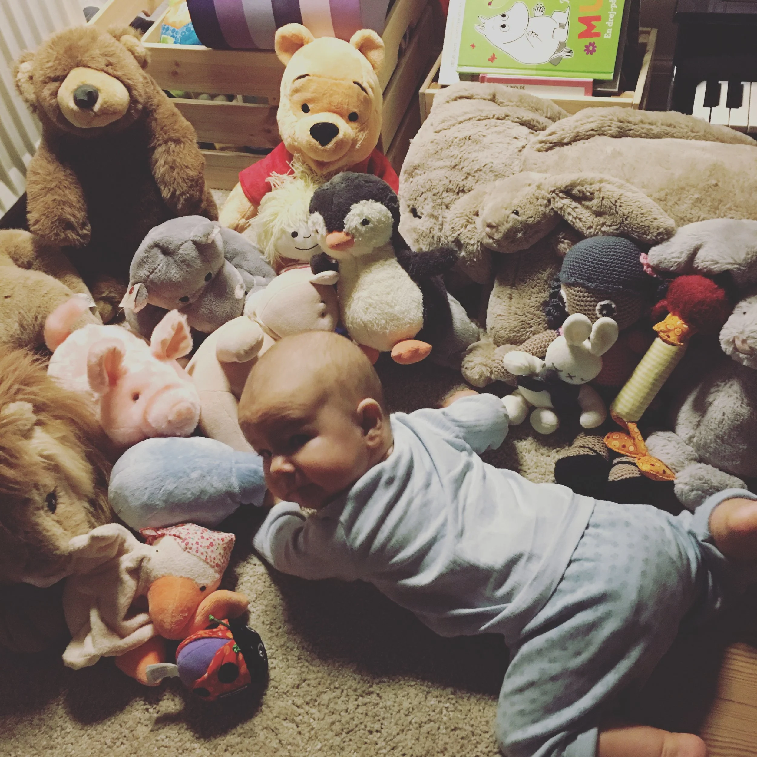 DETTE SKAL LÆSES I ÅR 2031