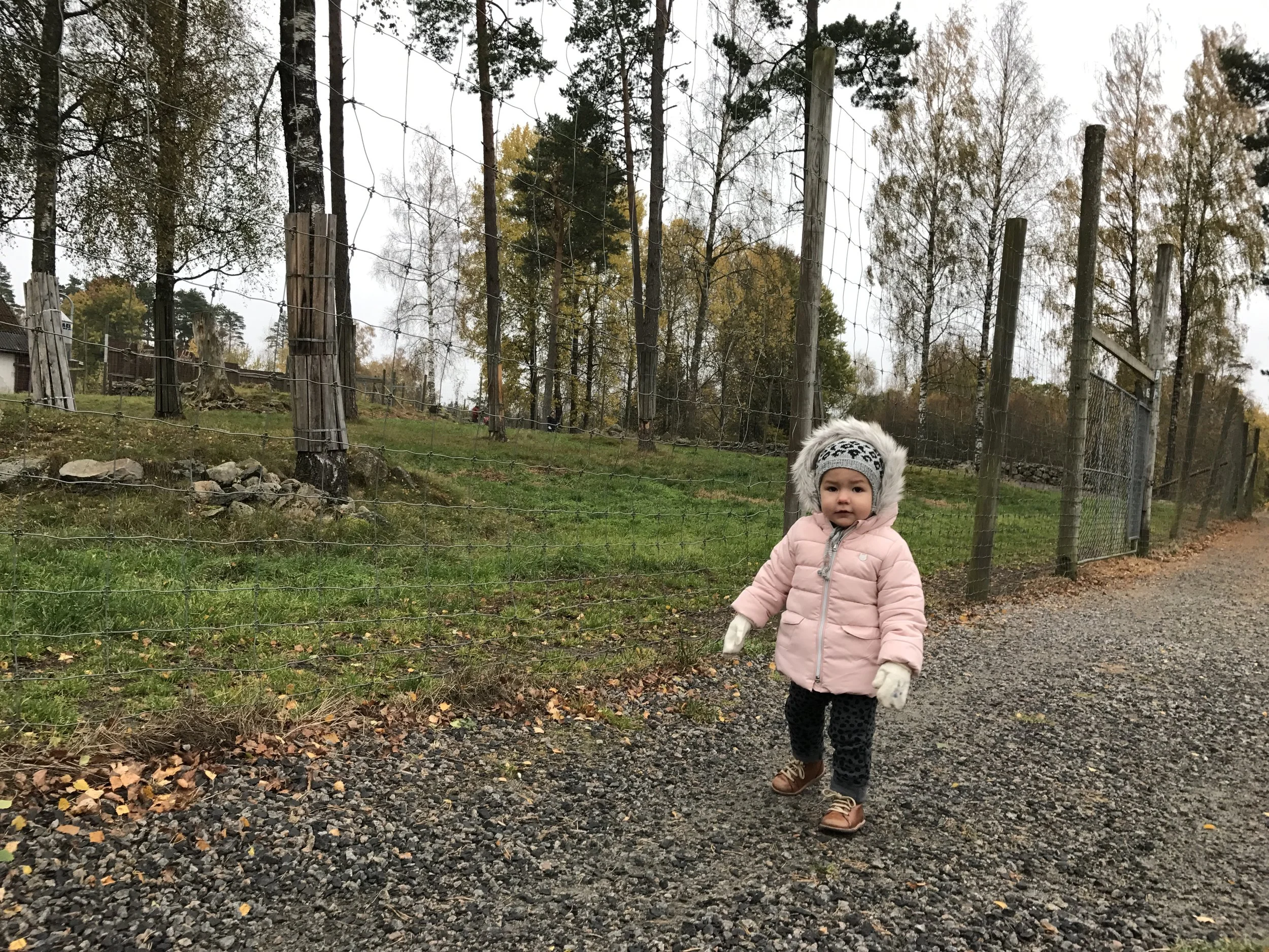 HVIS ELLEN VAR BLOGGER