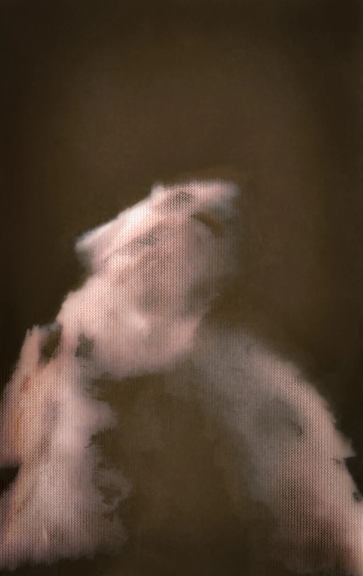 Archive of Things #2