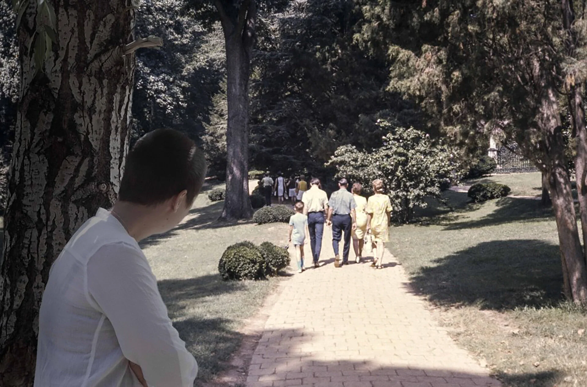 Rewriting the Archives #11