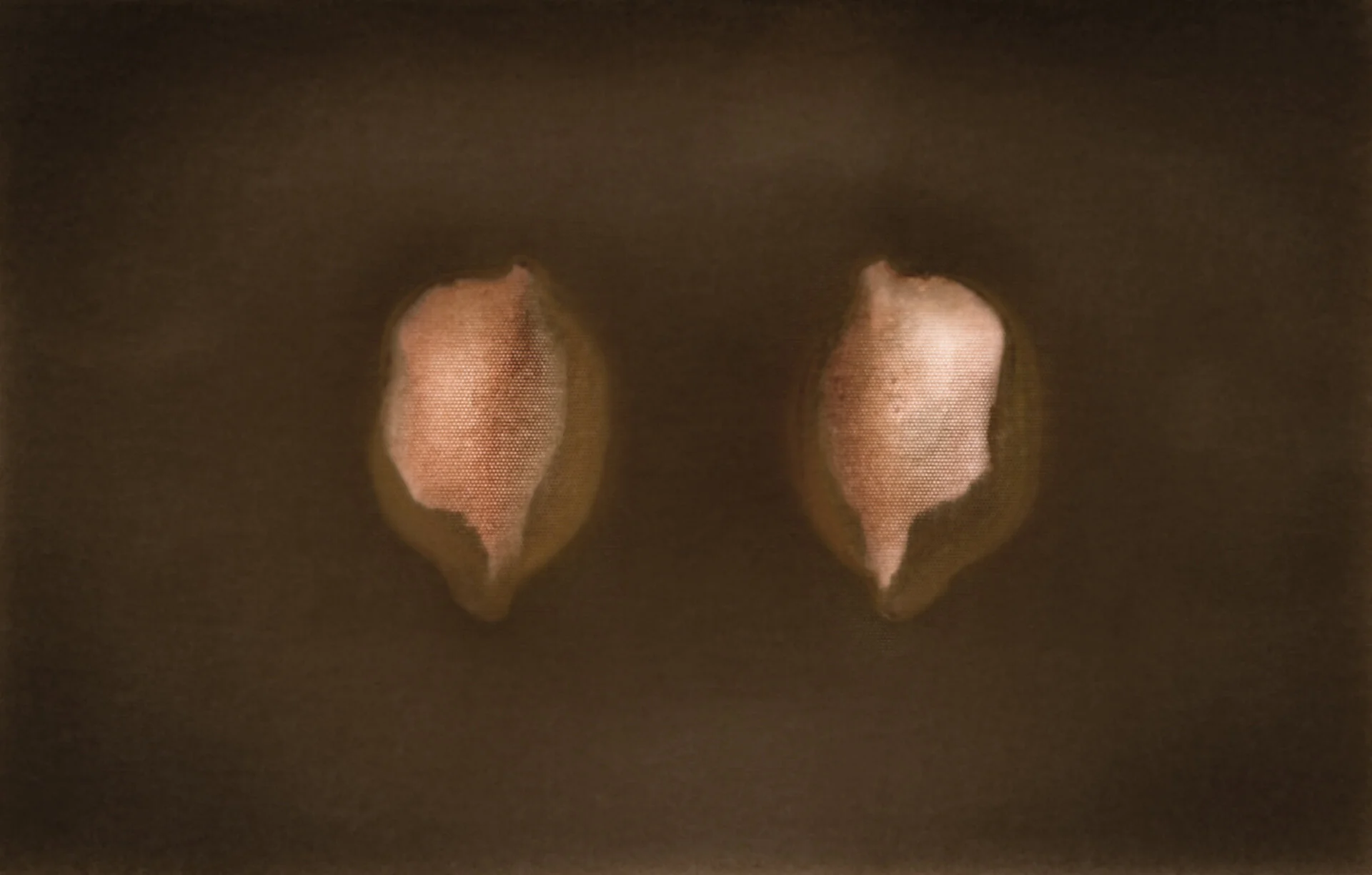 Archive of Things #2