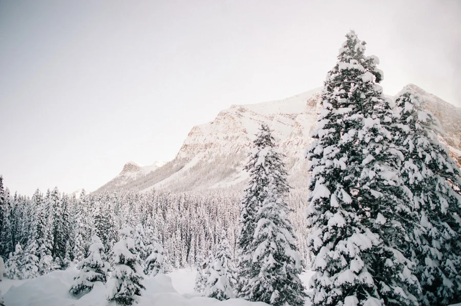 Beautiful Winter Wedding at Fairmont Chateau Lake Louse