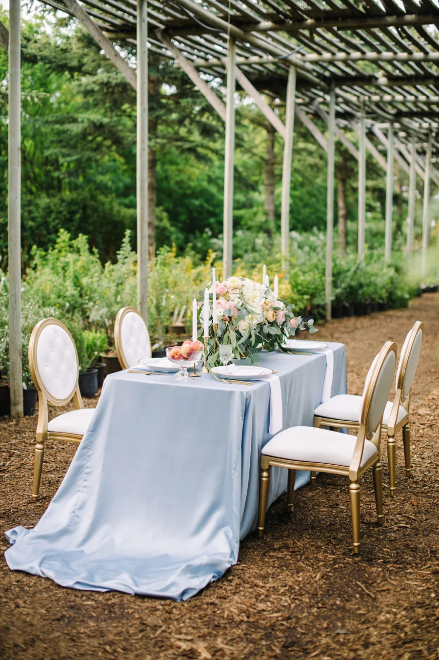 Saskatoon Berry Farm Wedding