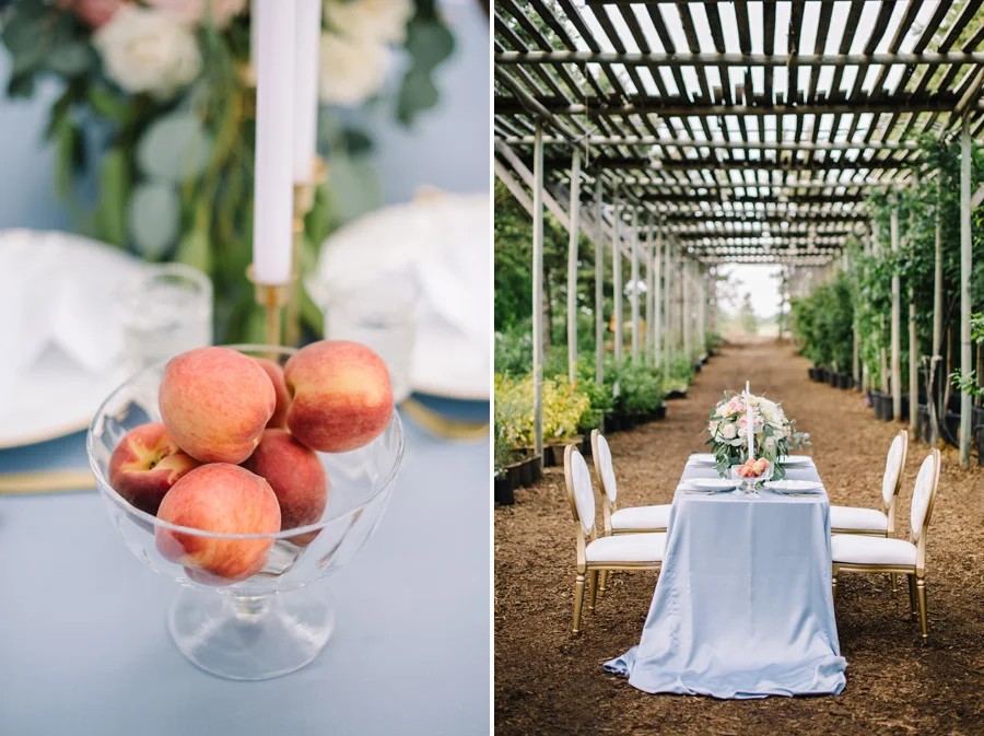 Saskatoon Berry Farm Wedding