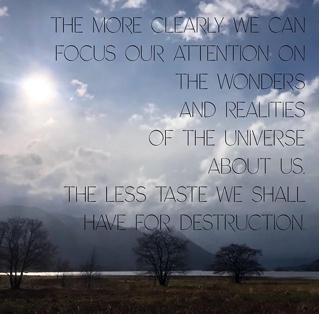 *CLIMATE STRIKE 9/20* what if we all show up together? 12pm Pershing Square/3pm City Hall LA and everywhere: www.globalclimatestrike.net #rachelcarson #globalclimatestrike #anotherworldispossible