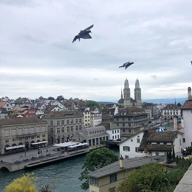 Passing through Zurich