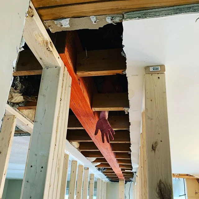 The beam is in... also, we may have a new tenant upstairs
.
.
.
#openconcept #renovations #incomeproperty #whoshandisthat #topbunproperties