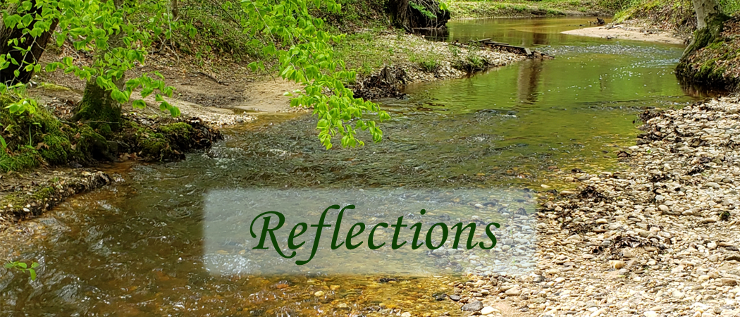 Summertime . . . Finding Rest