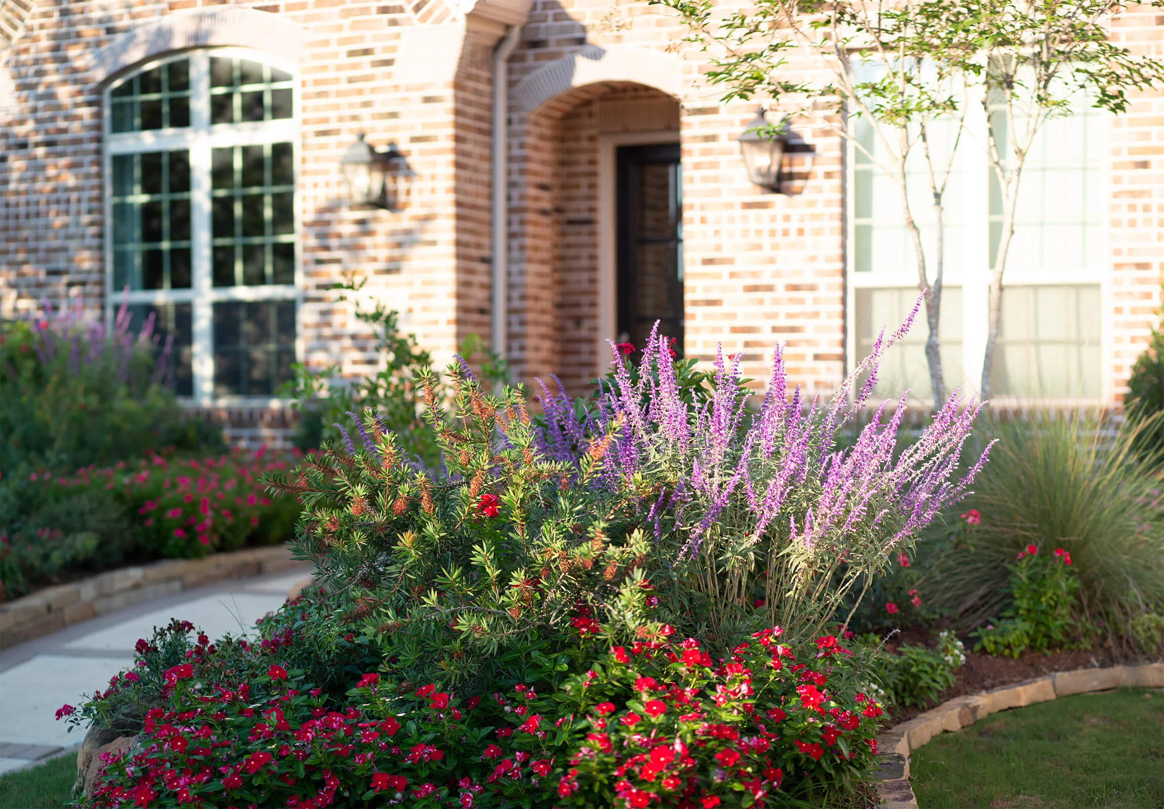 Marks Yard Front.jpg